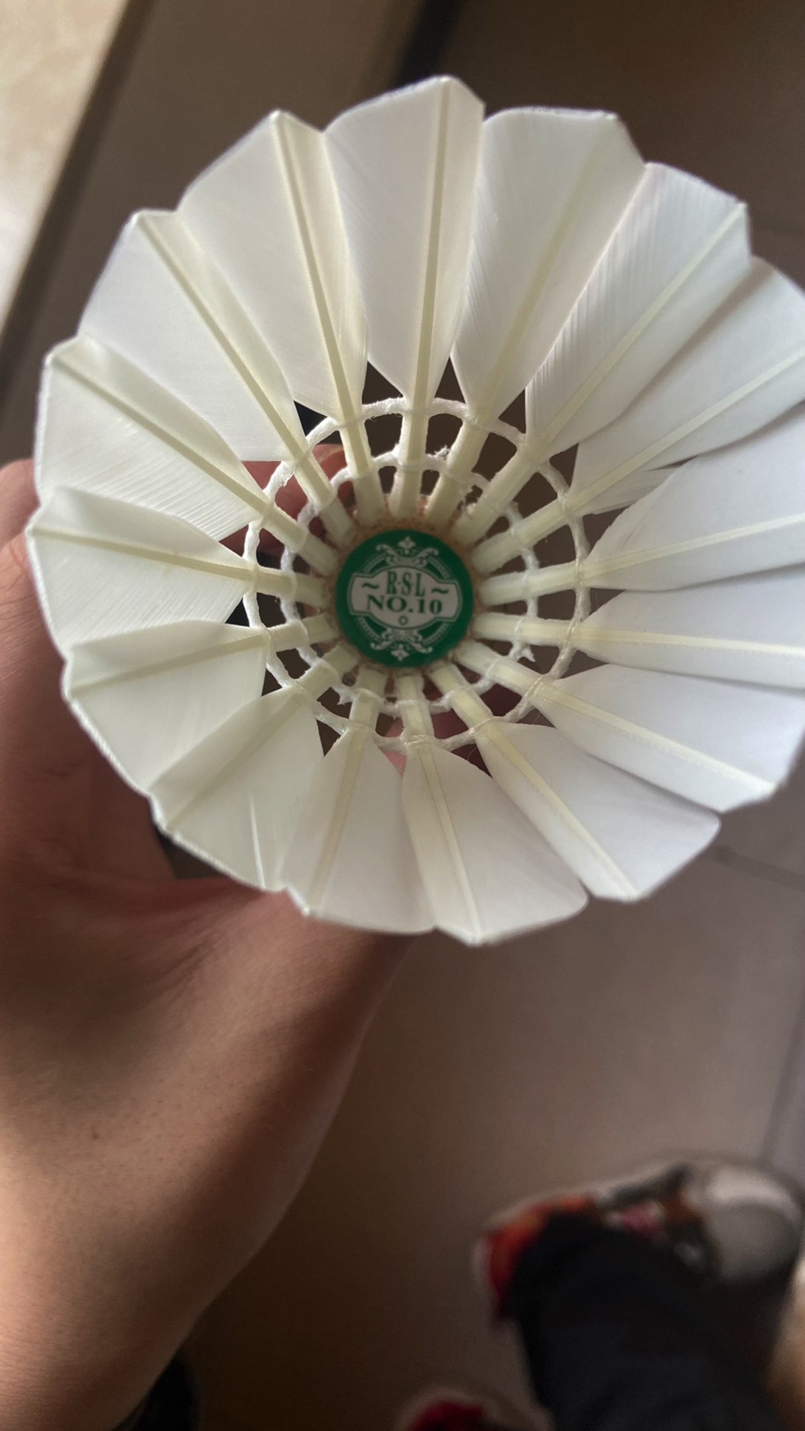 腾飞体育(仁和春天店)