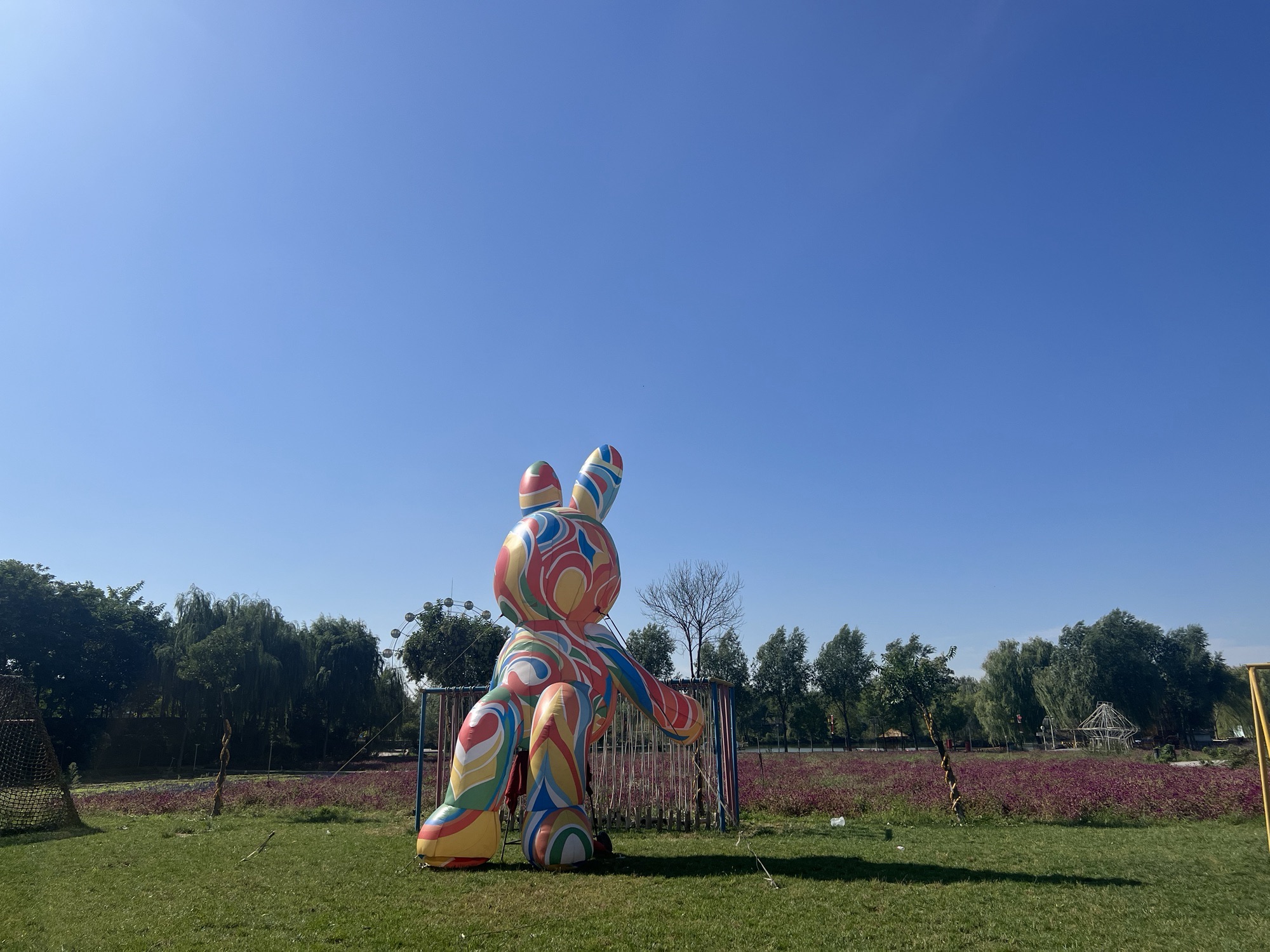 邯郸香草湖萌宠王国旅行图片 3
