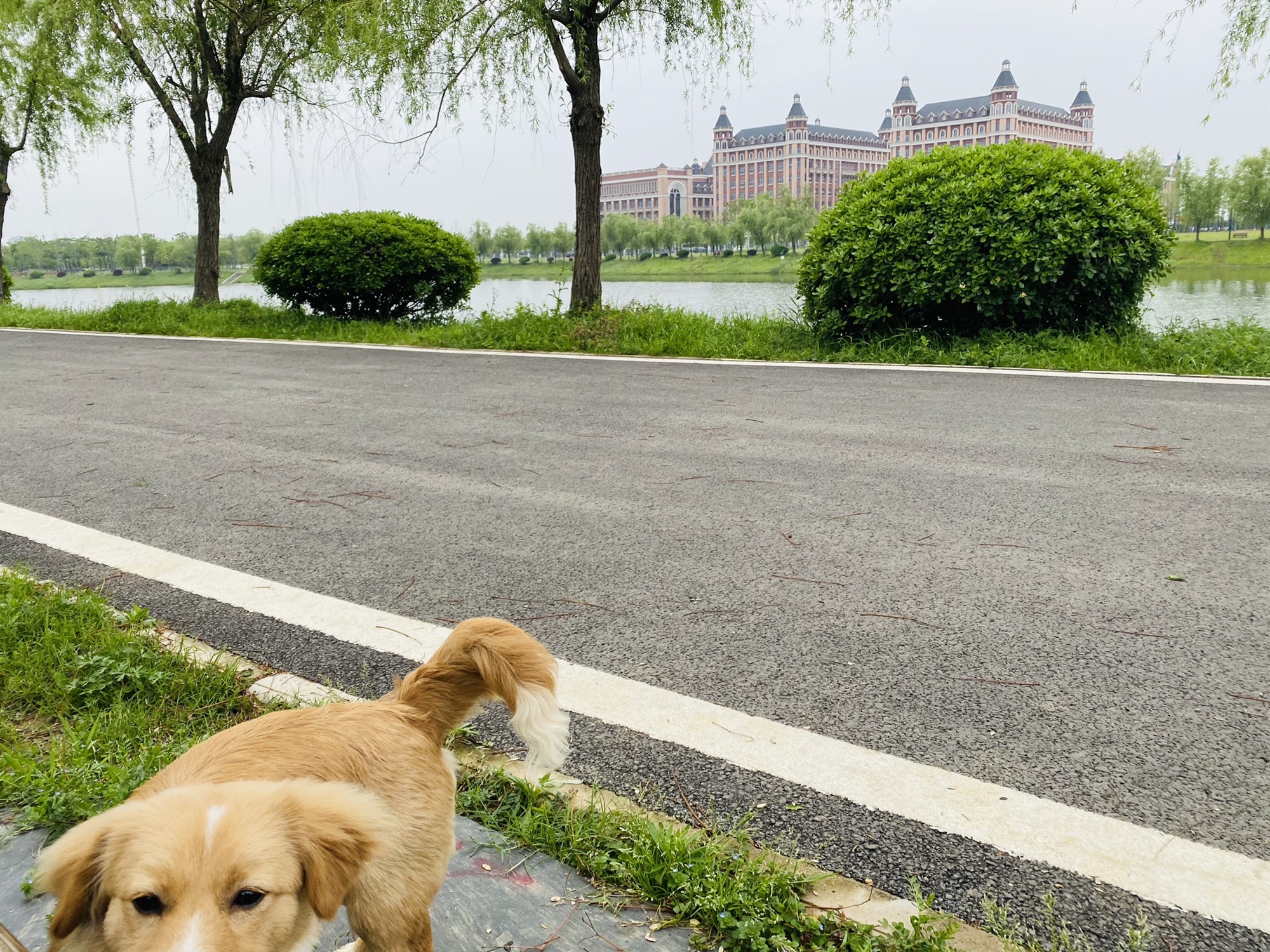 白马泾公园旅行图片 1