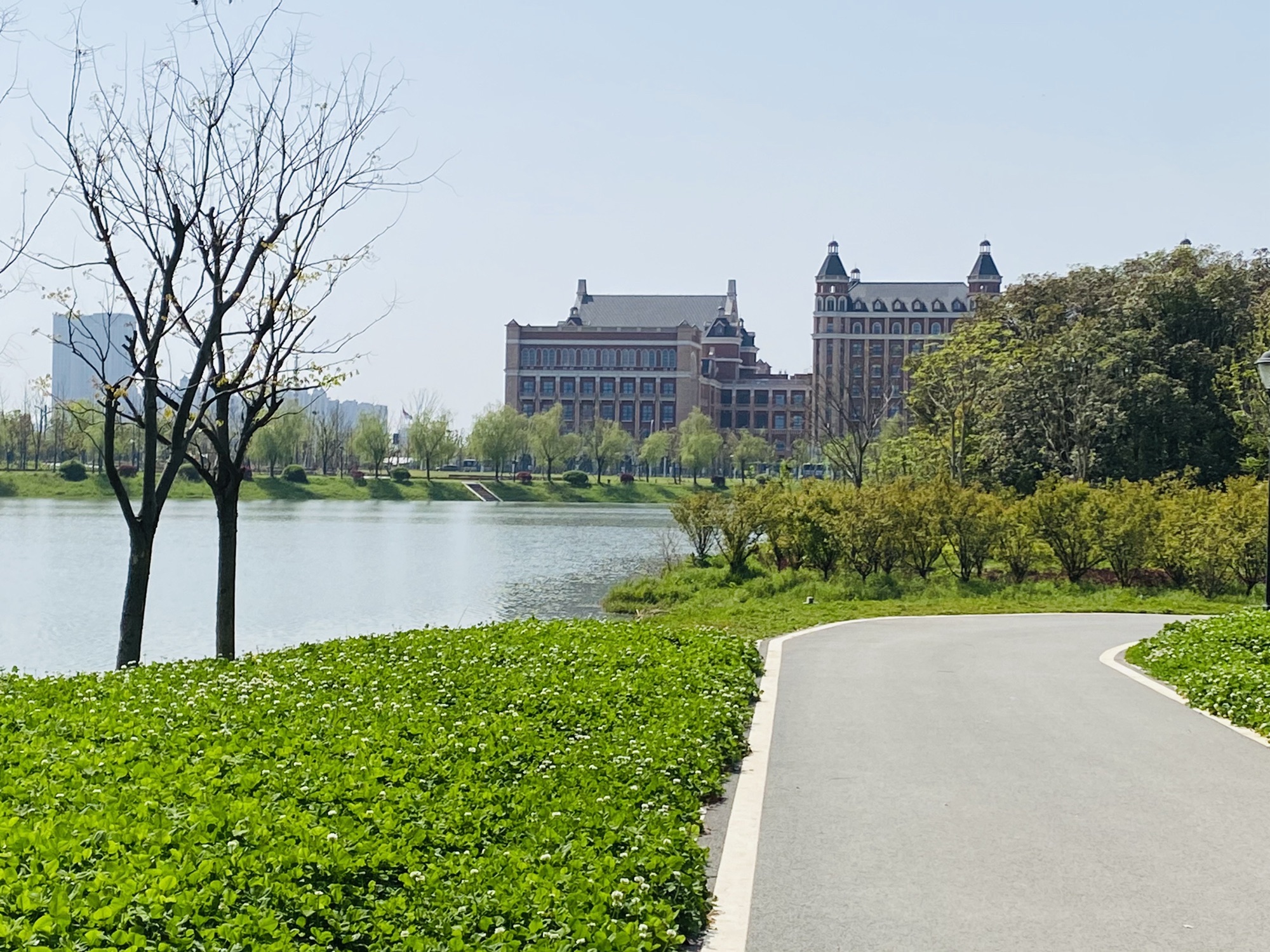 白马泾公园旅行图片 2