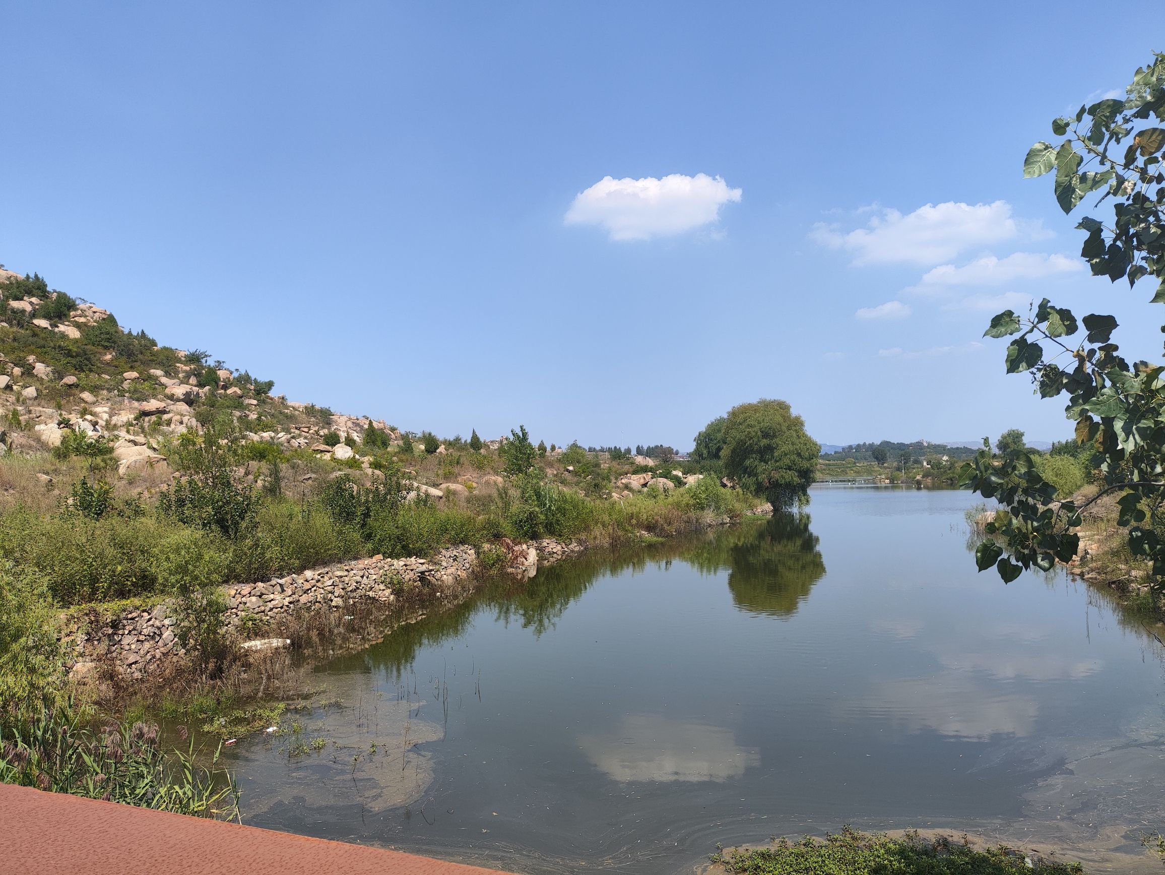 九曲花海公路景点旅行图片 1