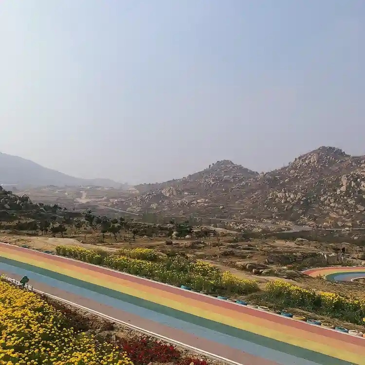 九曲花海公路景点旅行图片 2