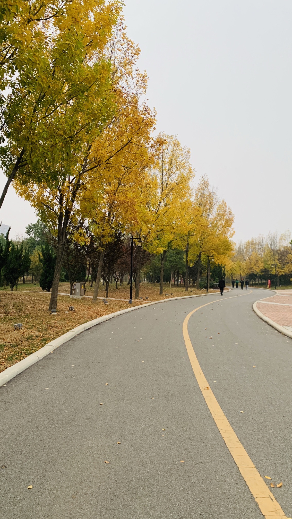 龙泉公园旅行图片 2