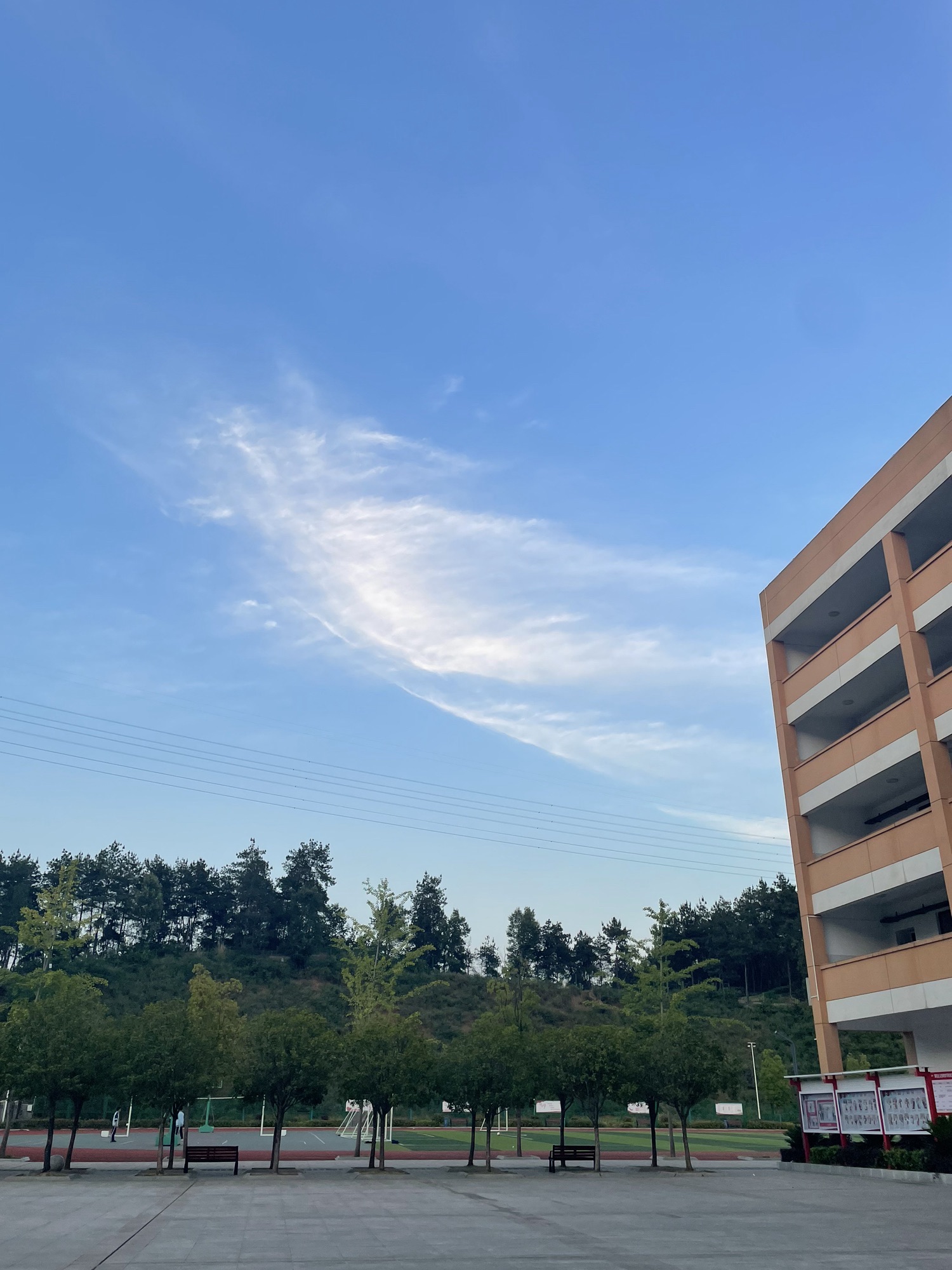 天津路中学