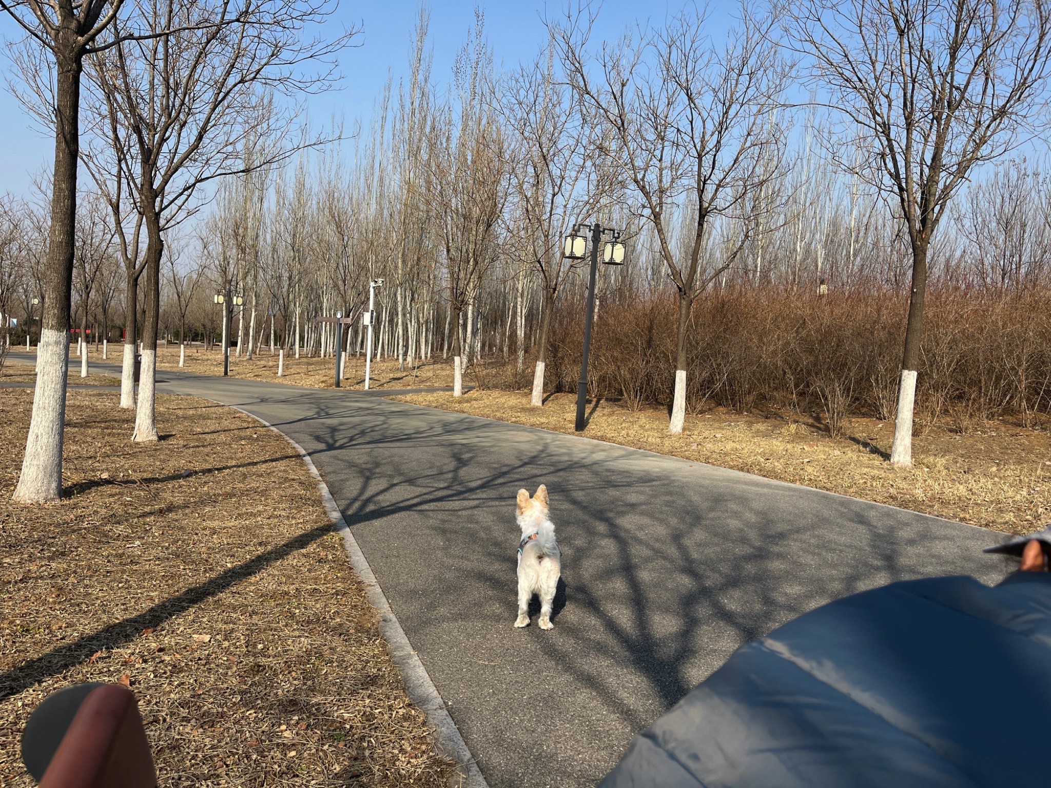 湿地公园旅行图片 1