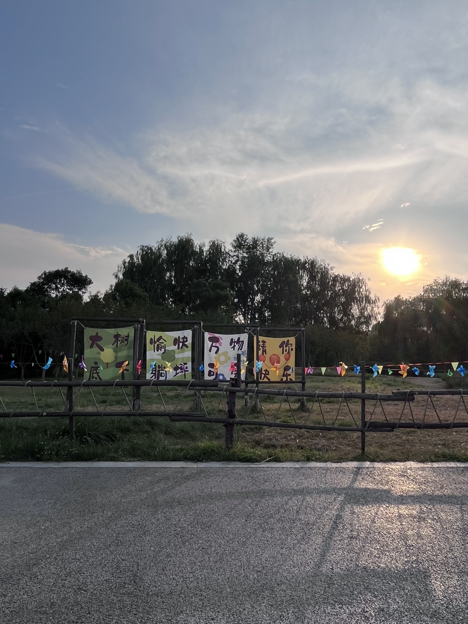 湿地公园旅行图片 1