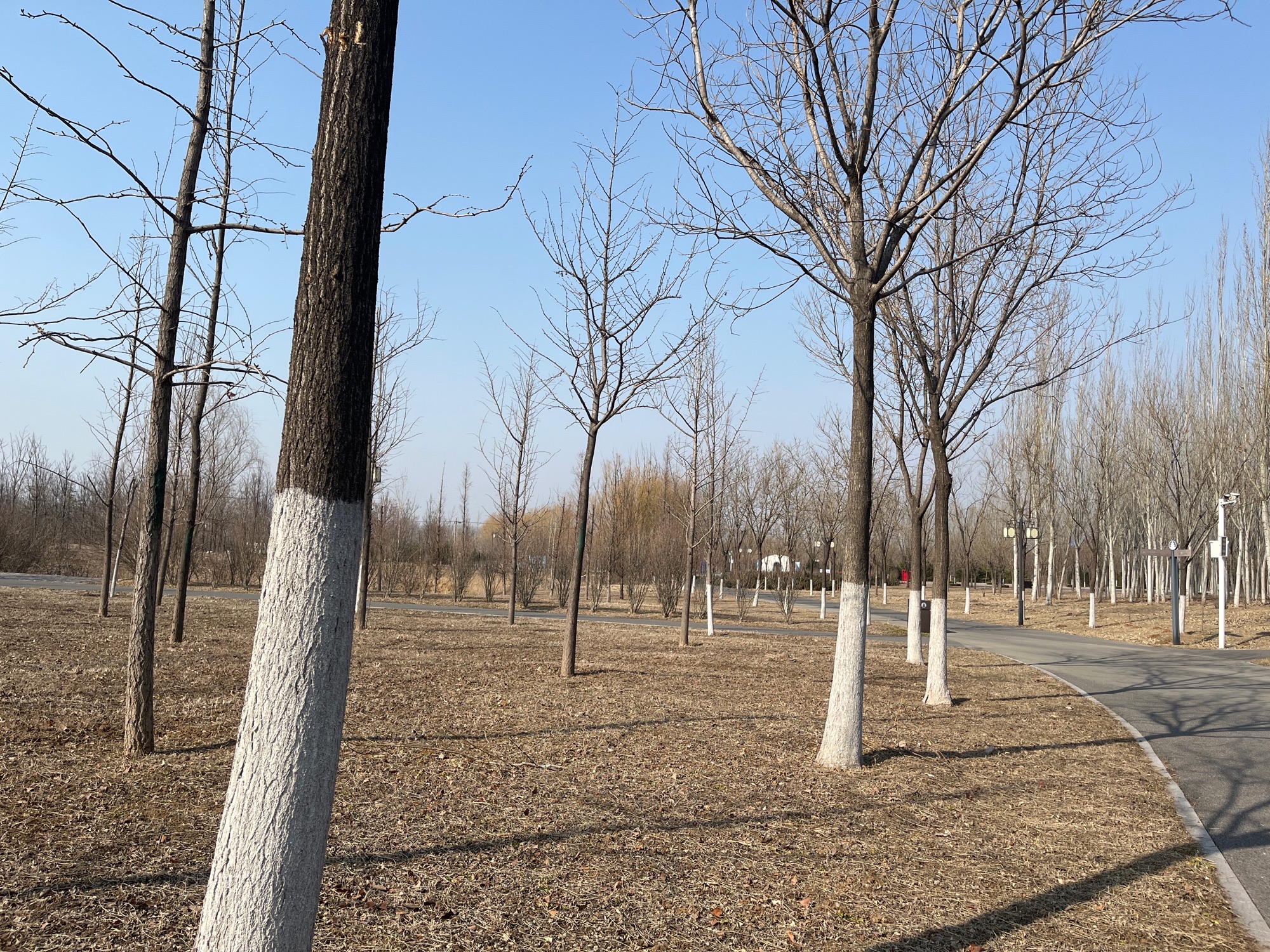 湿地公园旅行图片 2