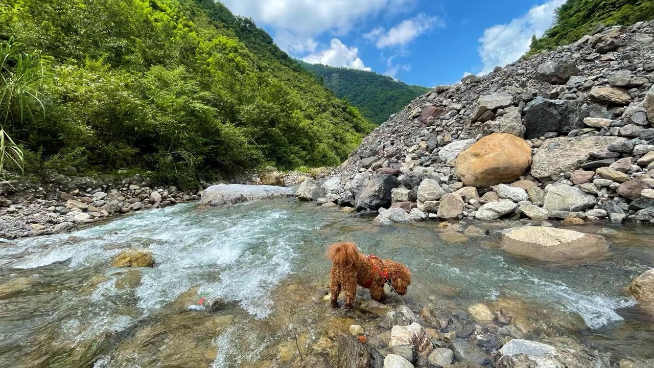 吉娜羌寨旅行图片 1