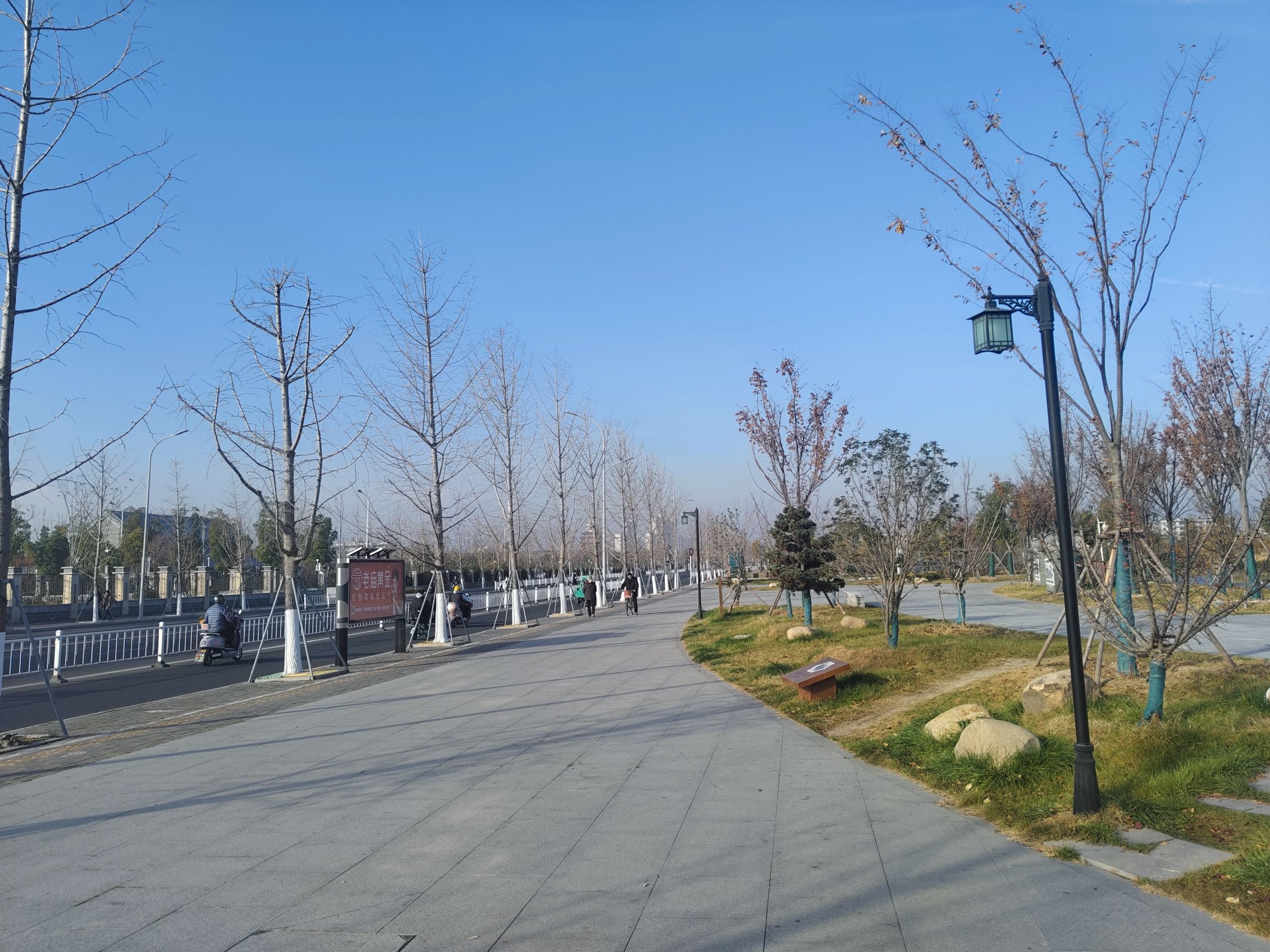 荷湖公园旅行图片 1