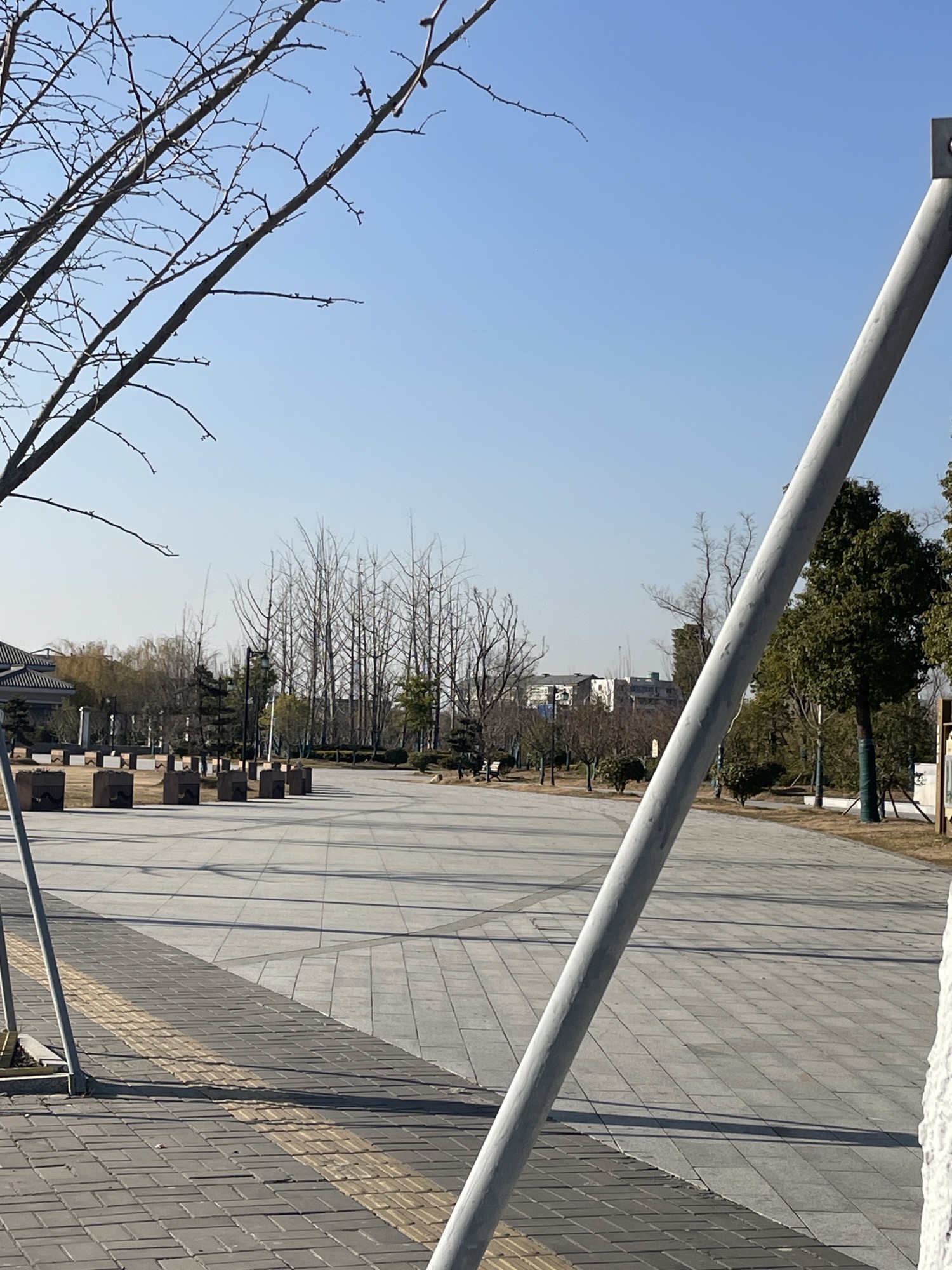荷湖公园旅行图片 2