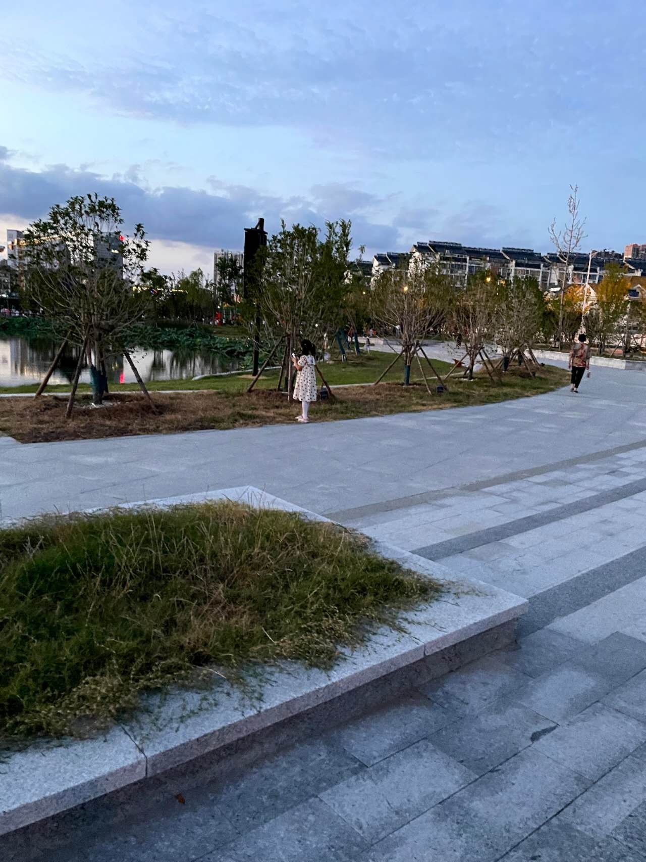 荷湖公园旅行图片 3