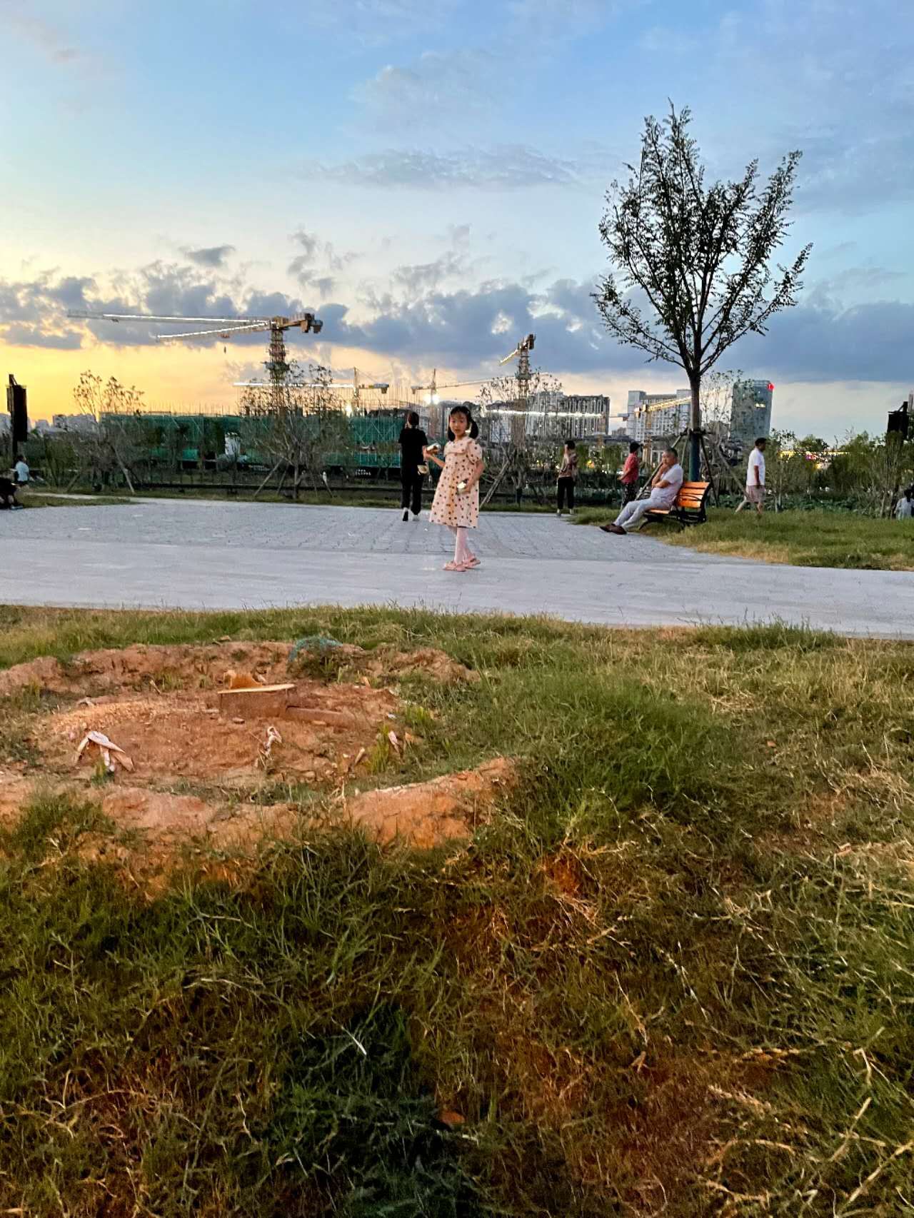荷湖公园旅行图片 2