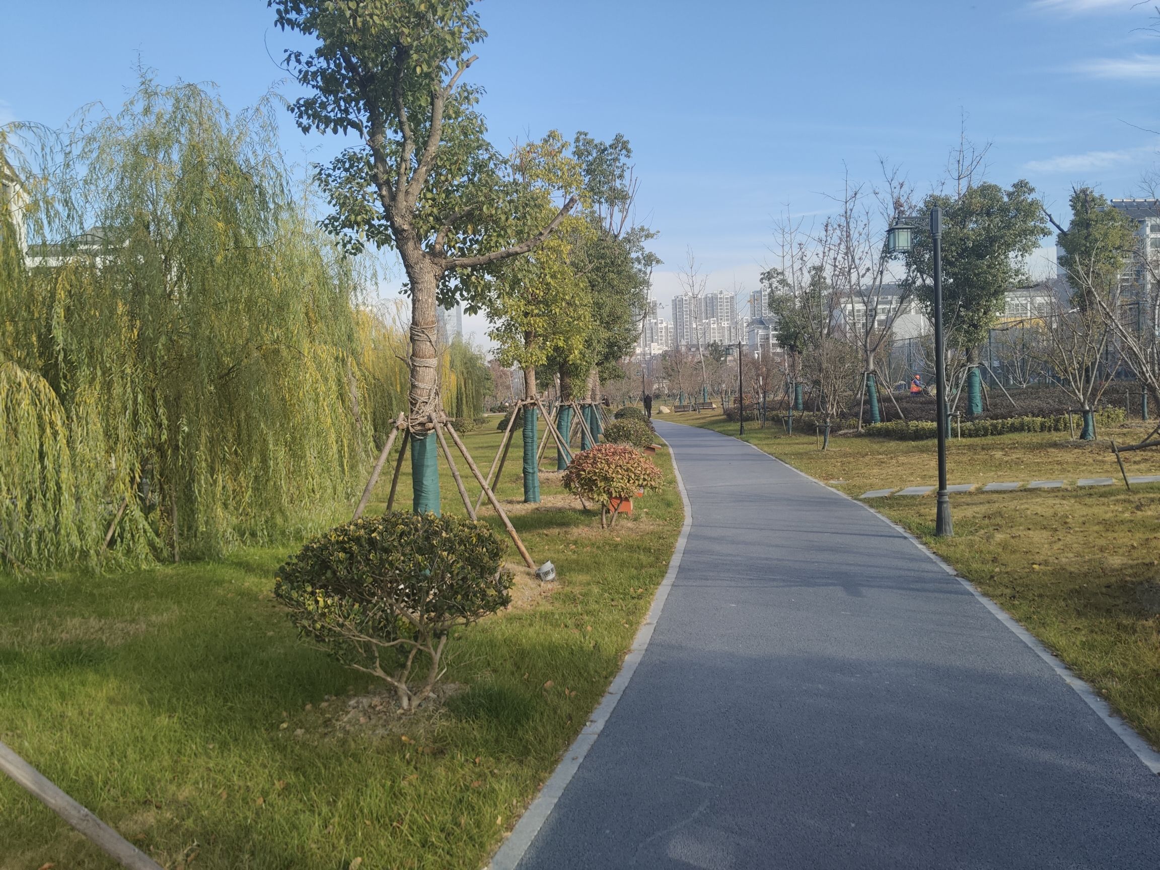 荷湖公园旅行图片 3