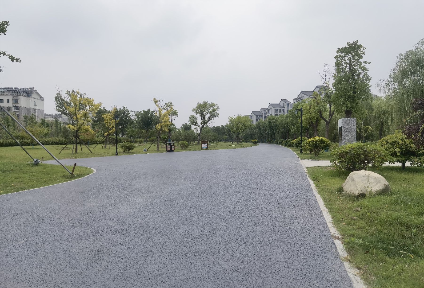 荷湖公园旅行图片 3