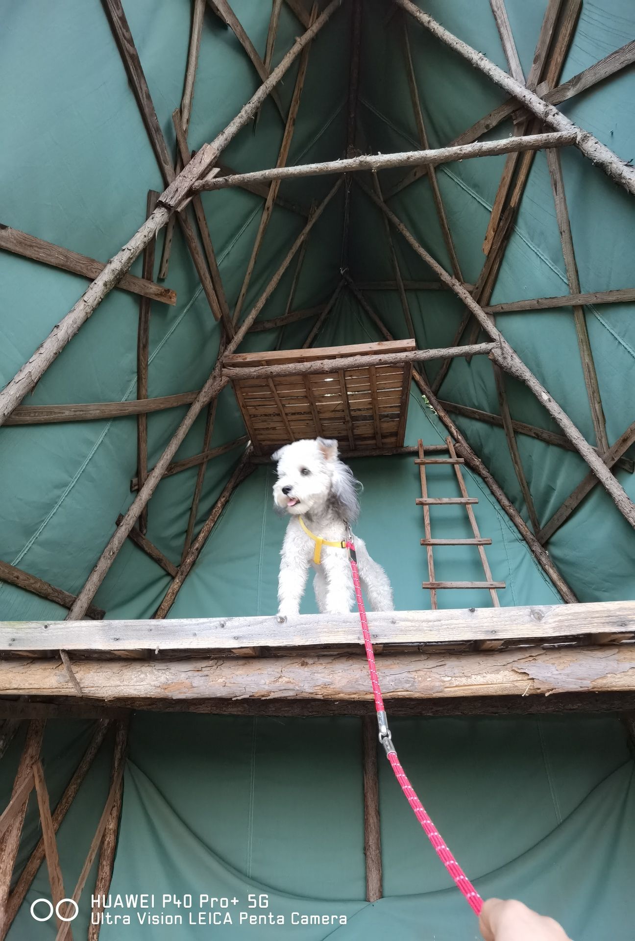 野穗谷旅行图片 3