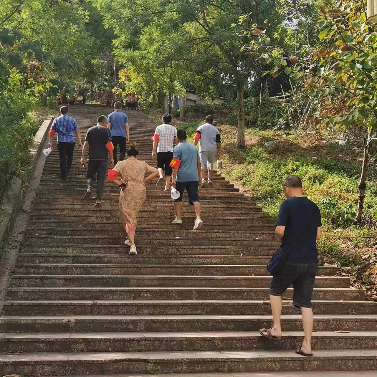 八濛山公园旅行图片 1