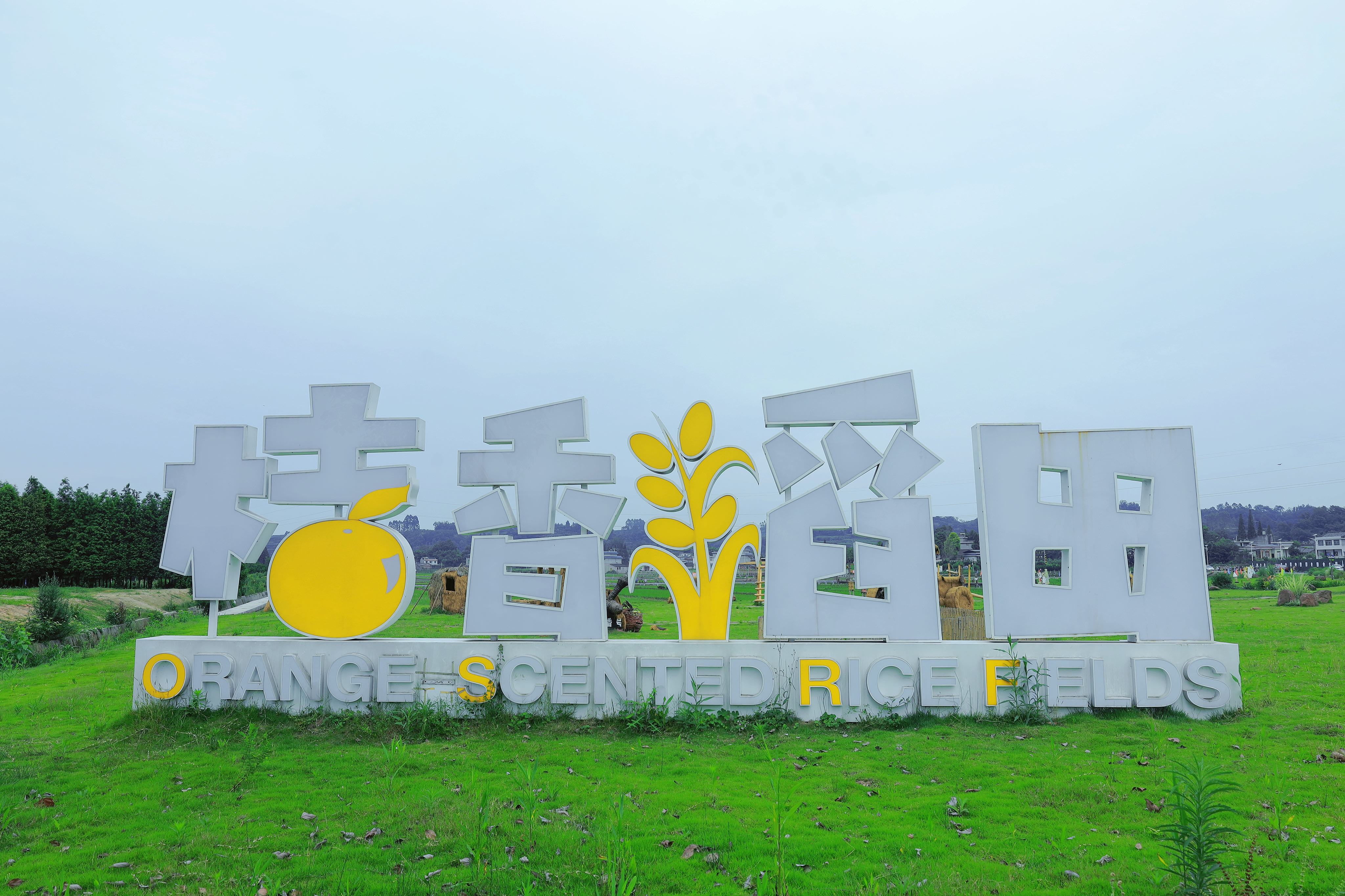 丹棱县桔香稻田旅行图片 1