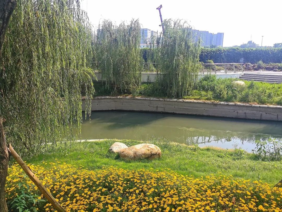 铁佛公园旅行图片 1