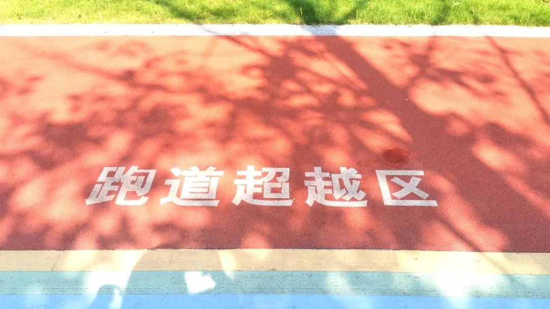铁佛公园旅行图片 3