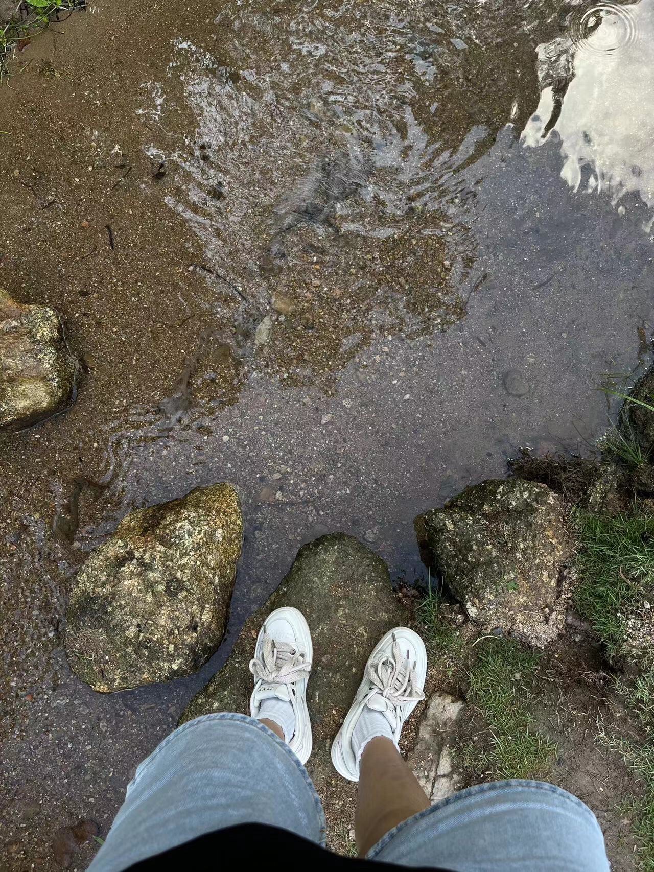 茅田山屋边公园旅行图片 1