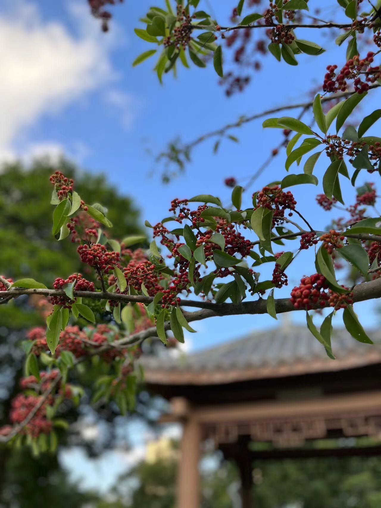 茅田山屋边公园旅行图片 3