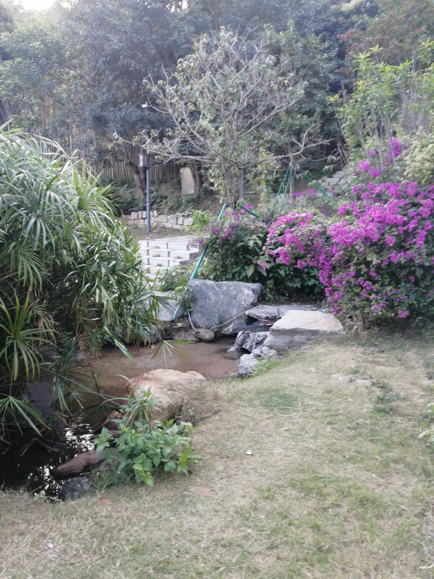 茅田山屋边公园旅行图片 2