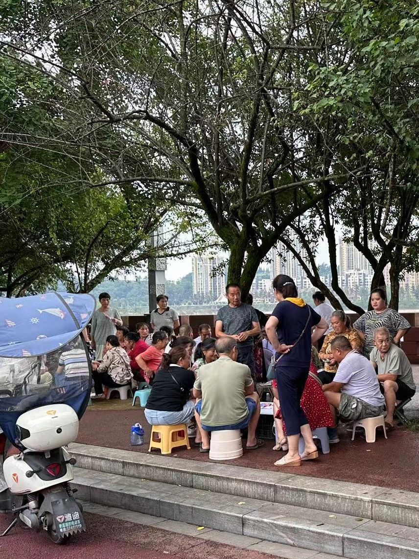 青衣江湿地公园旅行图片 1