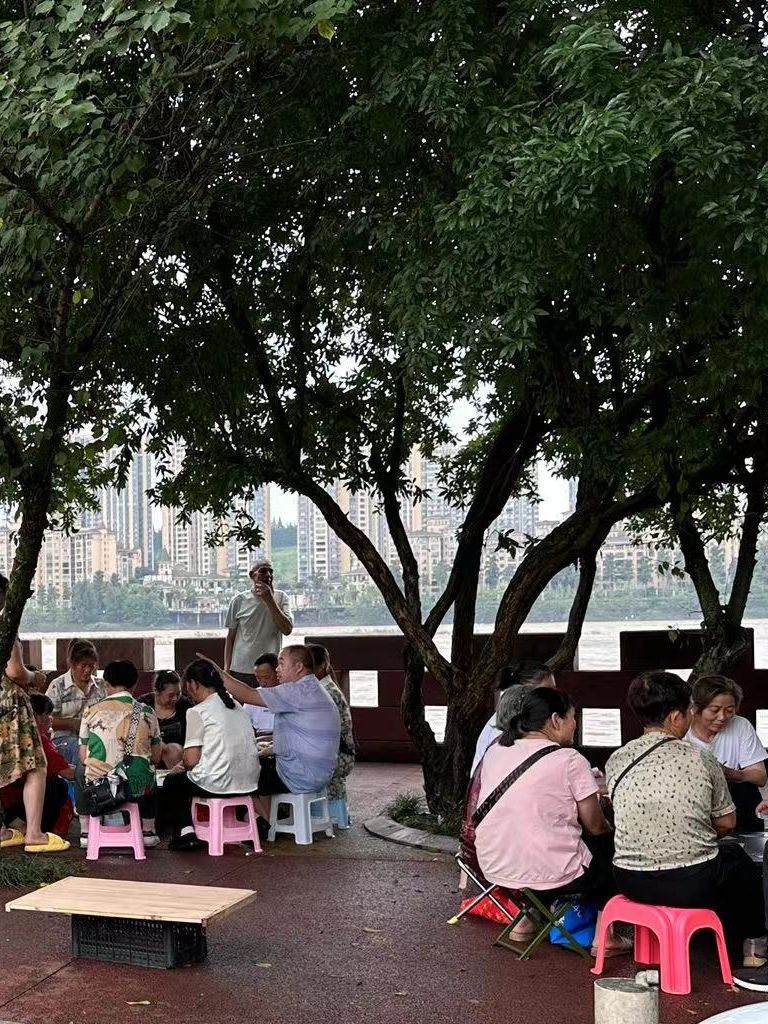 青衣江湿地公园旅行图片 3