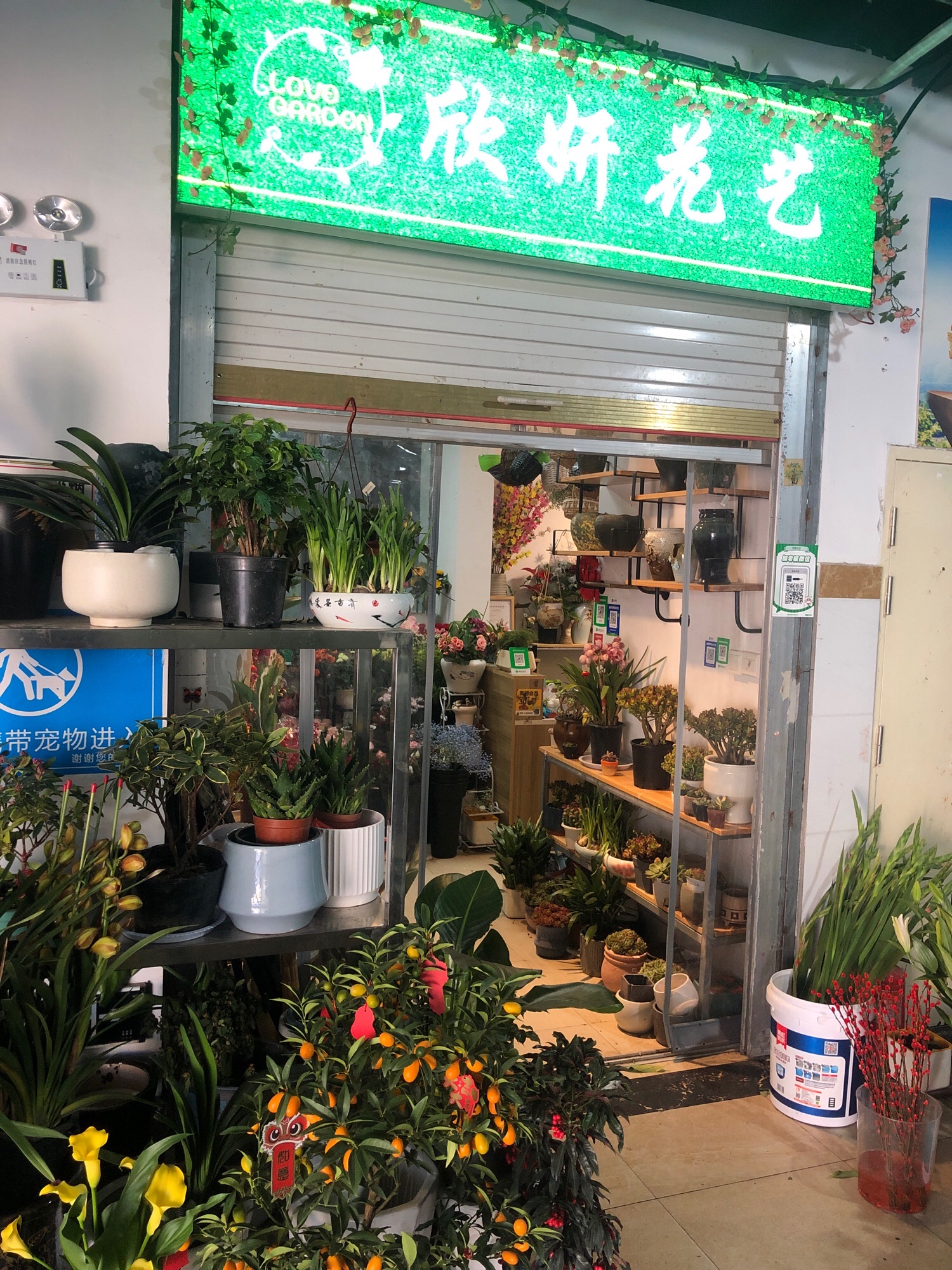 金寨县欣妍花艺店(金园农贸市场店)