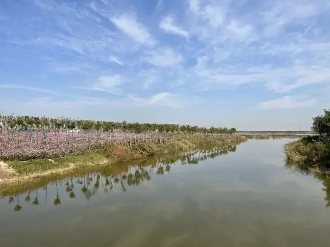 绿屏·八里湾·观景台(暂停开放)旅行图片 2