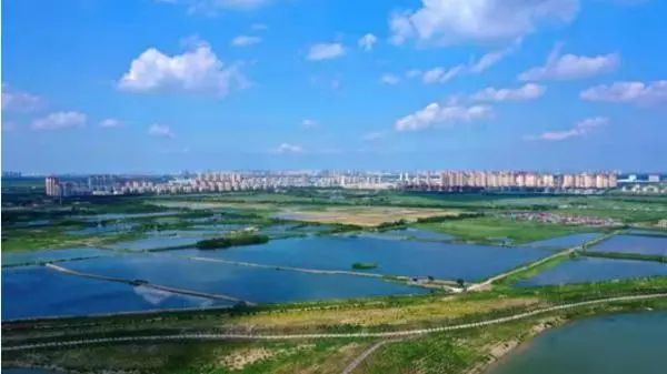 绿屏·八里湾·观景台(暂停开放)旅行图片 1