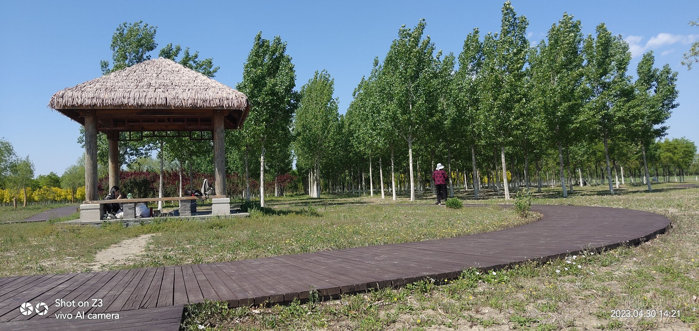 绿屏·八里湾·观景台(暂停开放)旅行图片 1