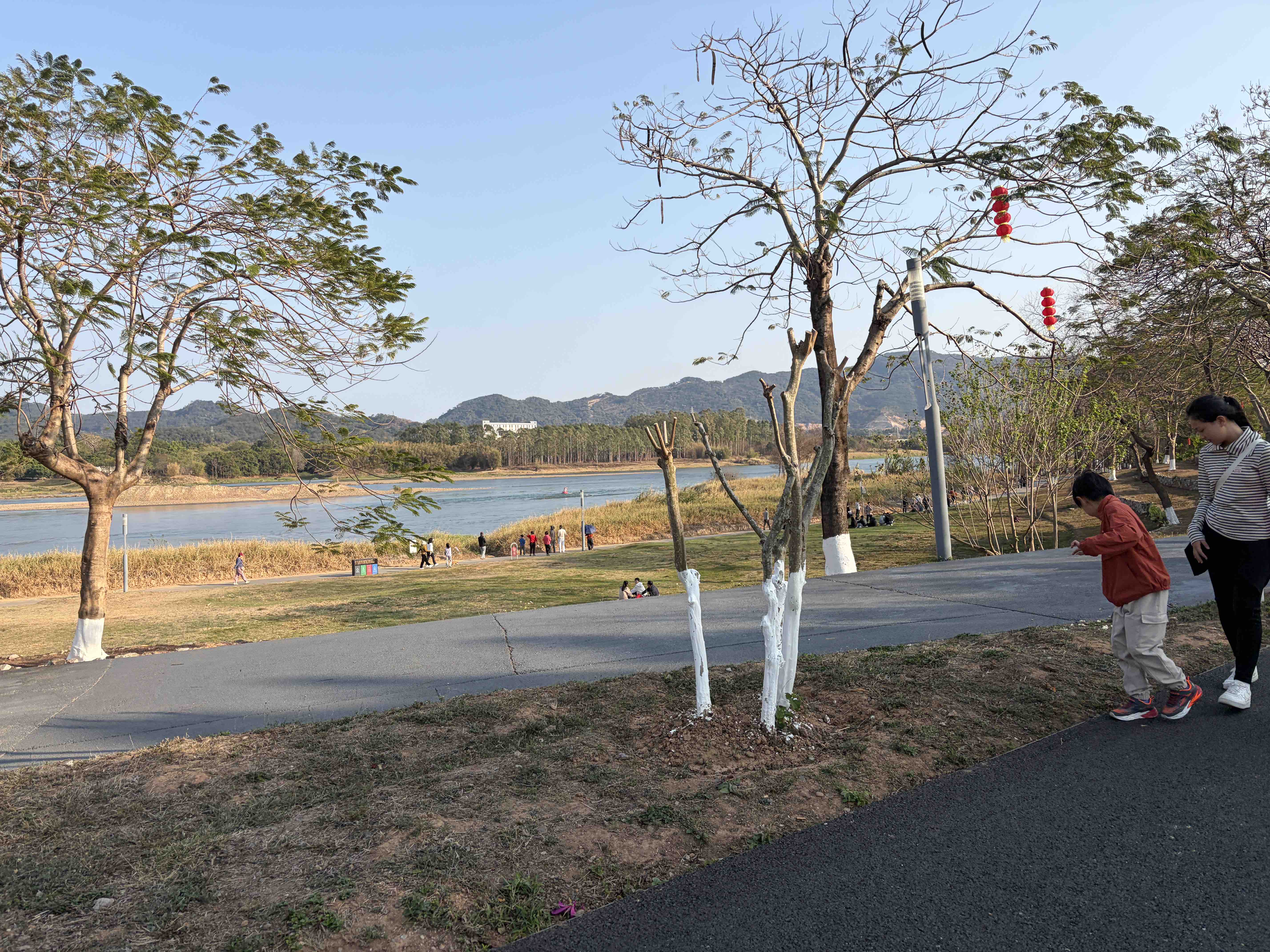 白鹭岛公园旅行图片 1