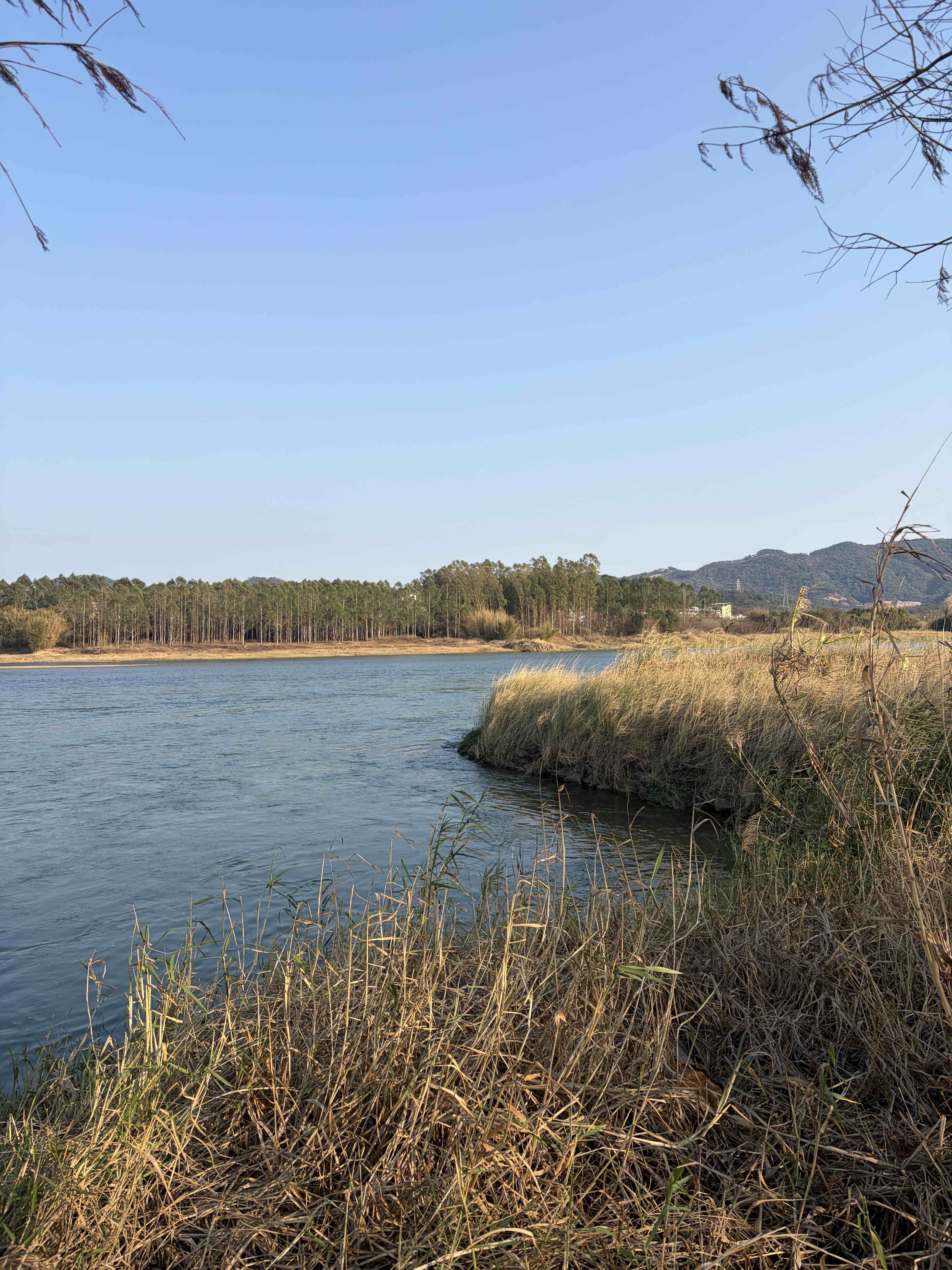 白鹭岛公园旅行图片 2