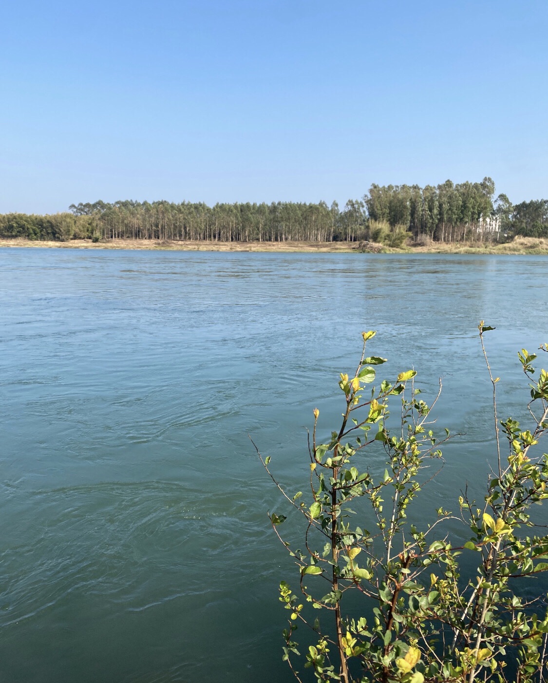 白鹭岛公园旅行图片 3