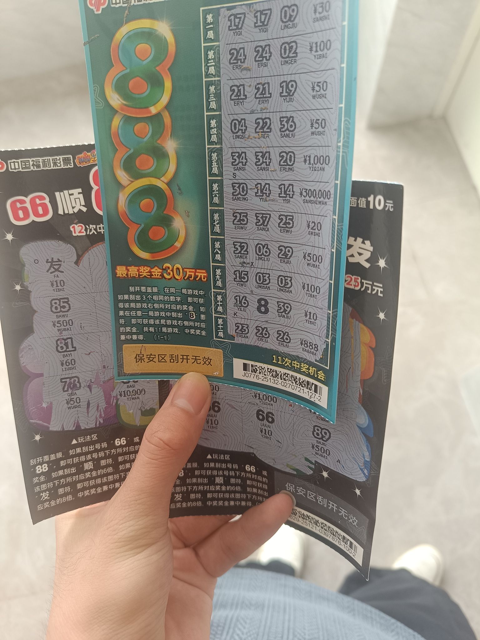 白鹭岛公园旅行图片 2