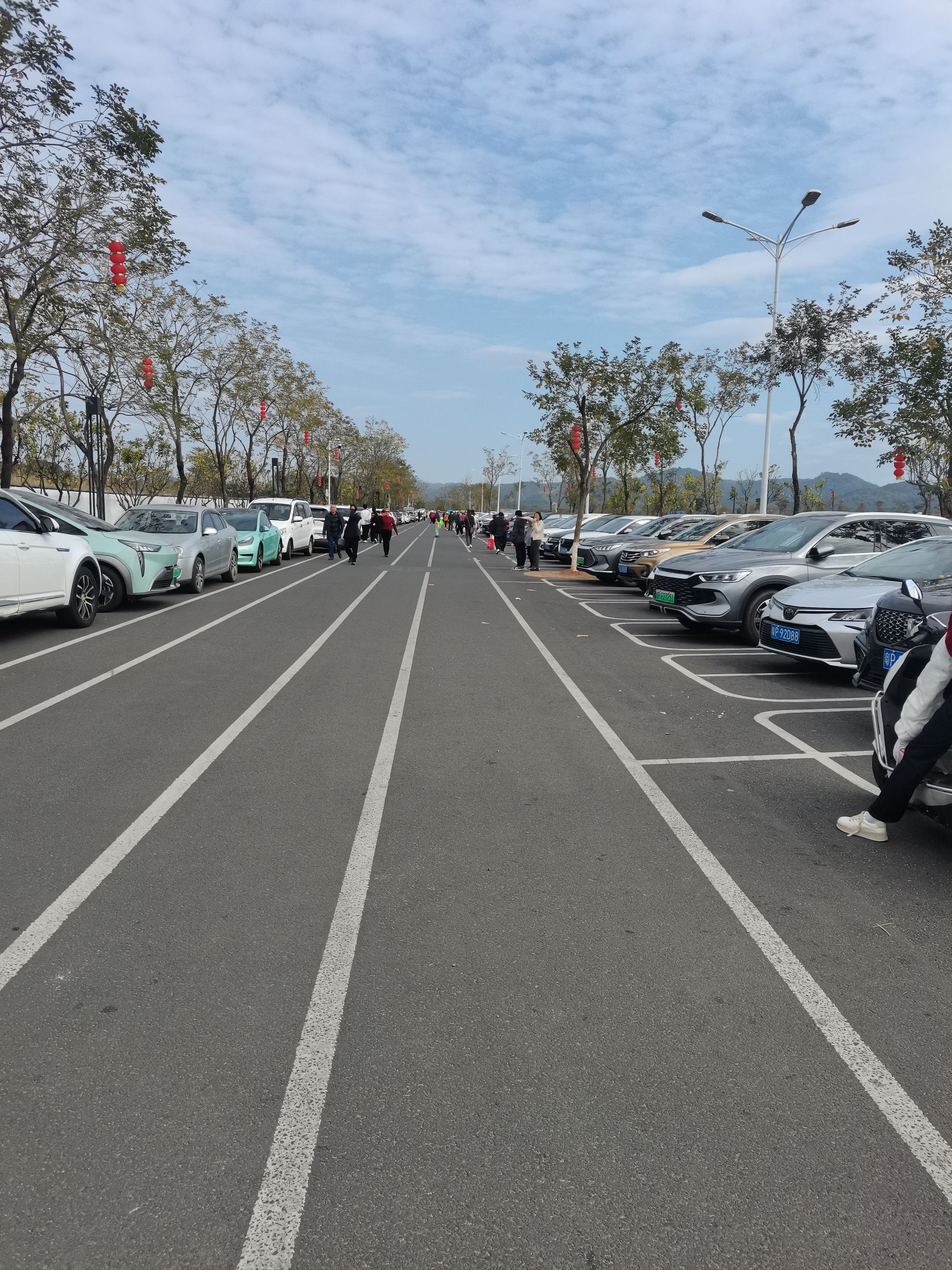 白鹭岛公园旅行图片 1