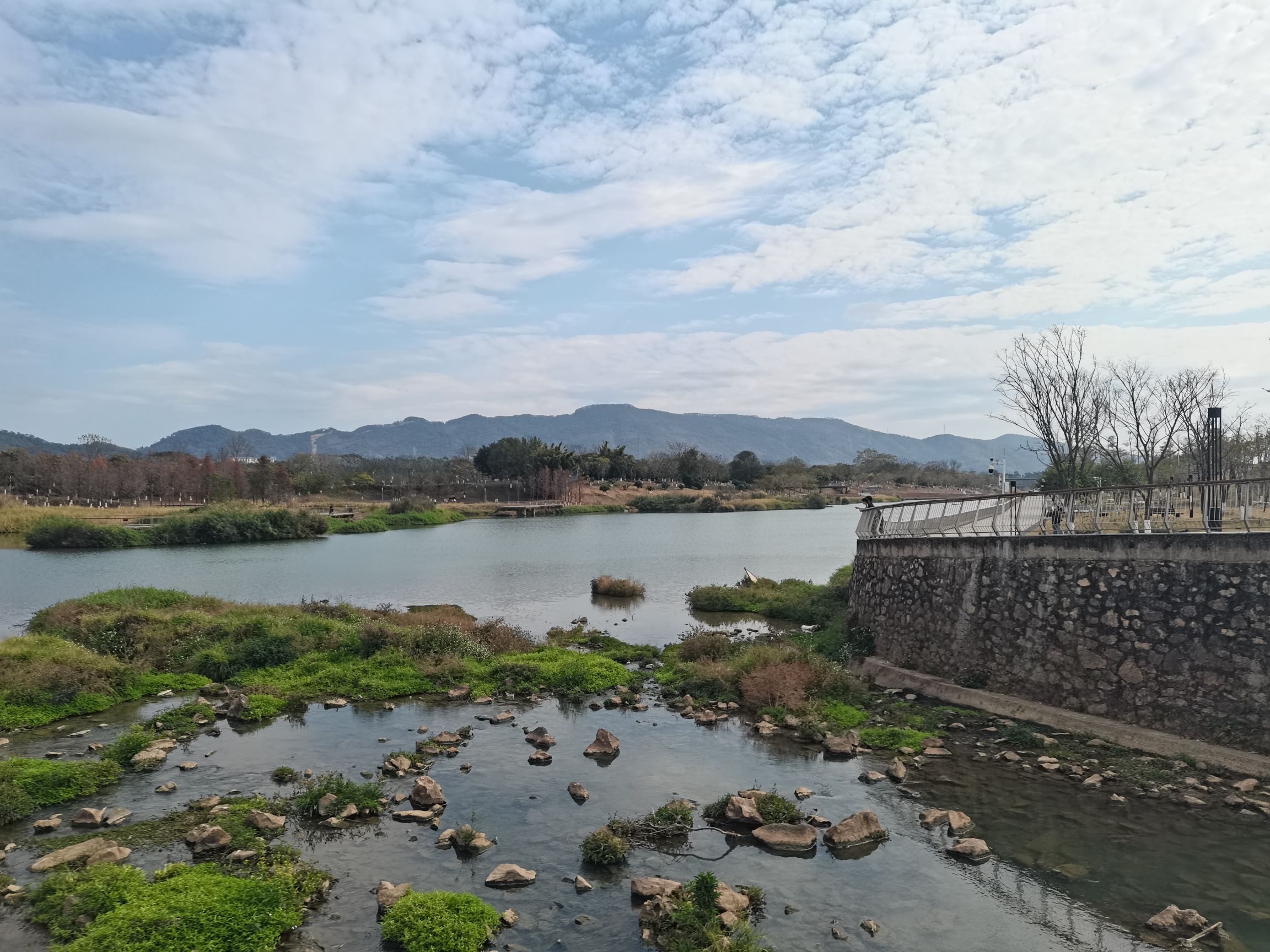 白鹭岛公园旅行图片 3