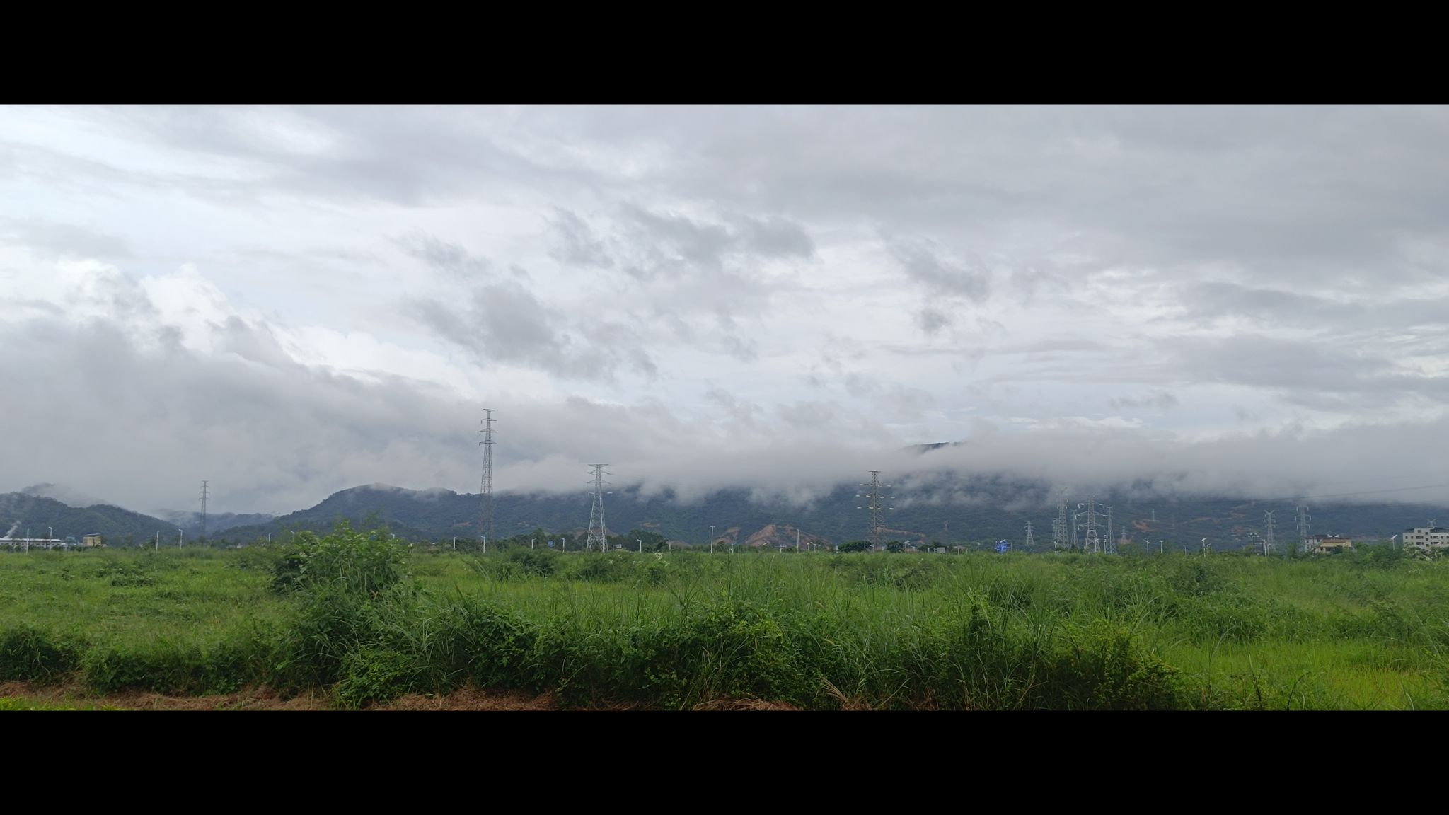 白鹭岛公园旅行图片 3