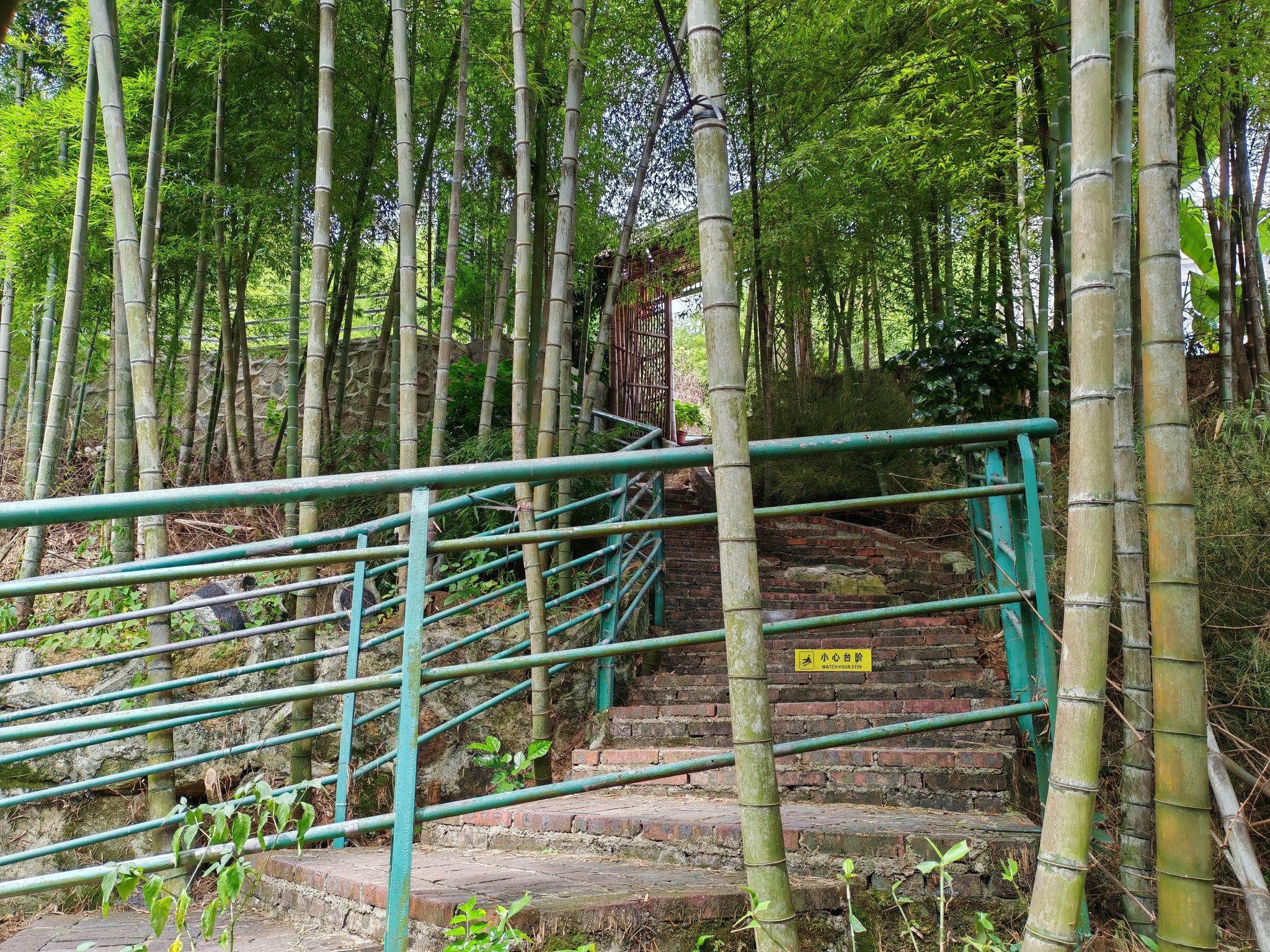 潮州市潮安区李工坑森林公园