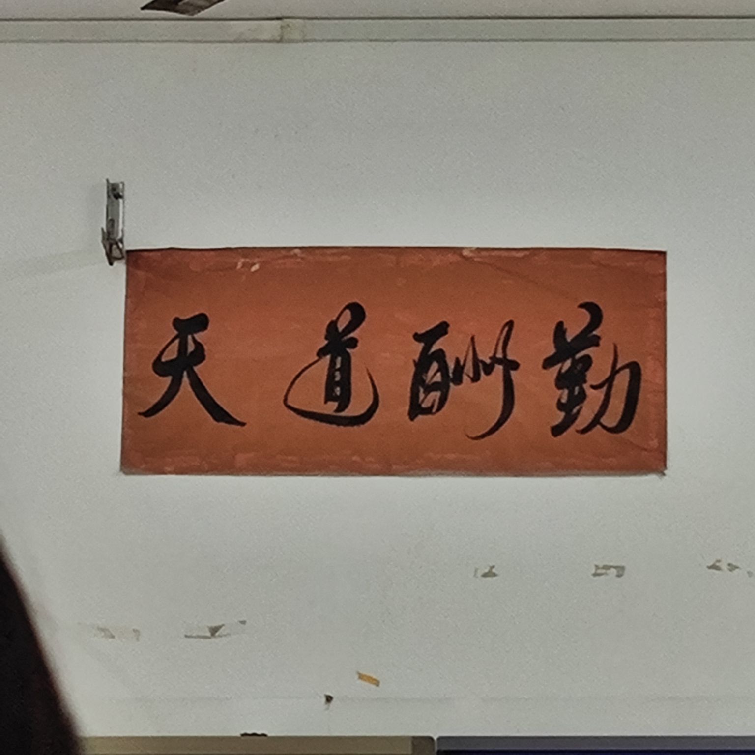 万盛TOD公园旅行图片 1