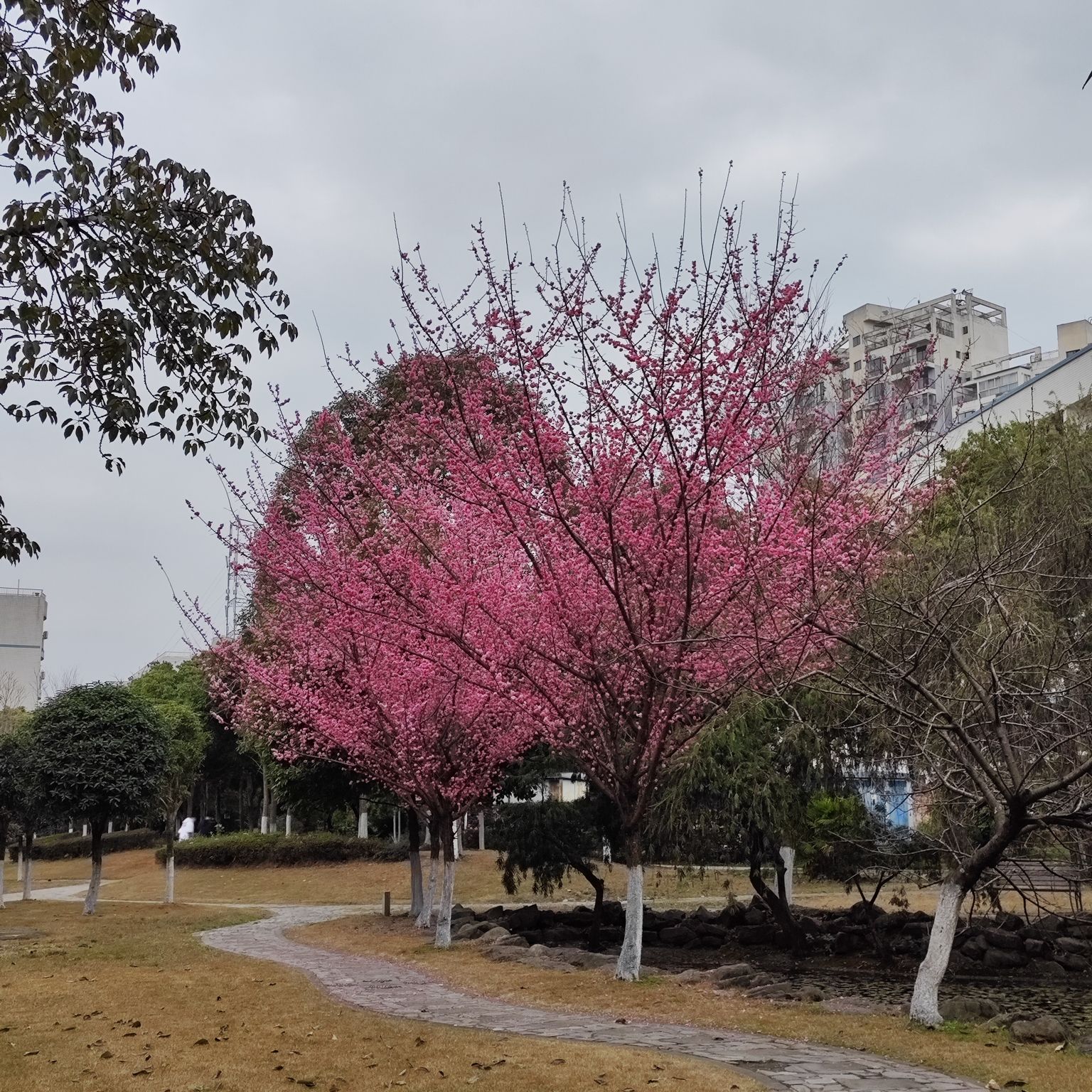 万盛TOD公园旅行图片 3