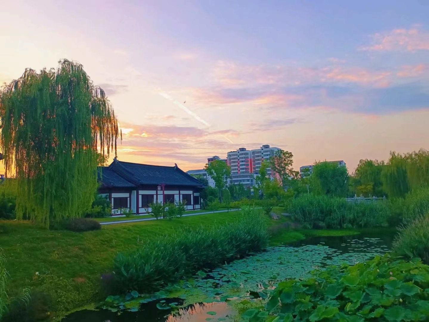 挚湖公园旅行图片 2