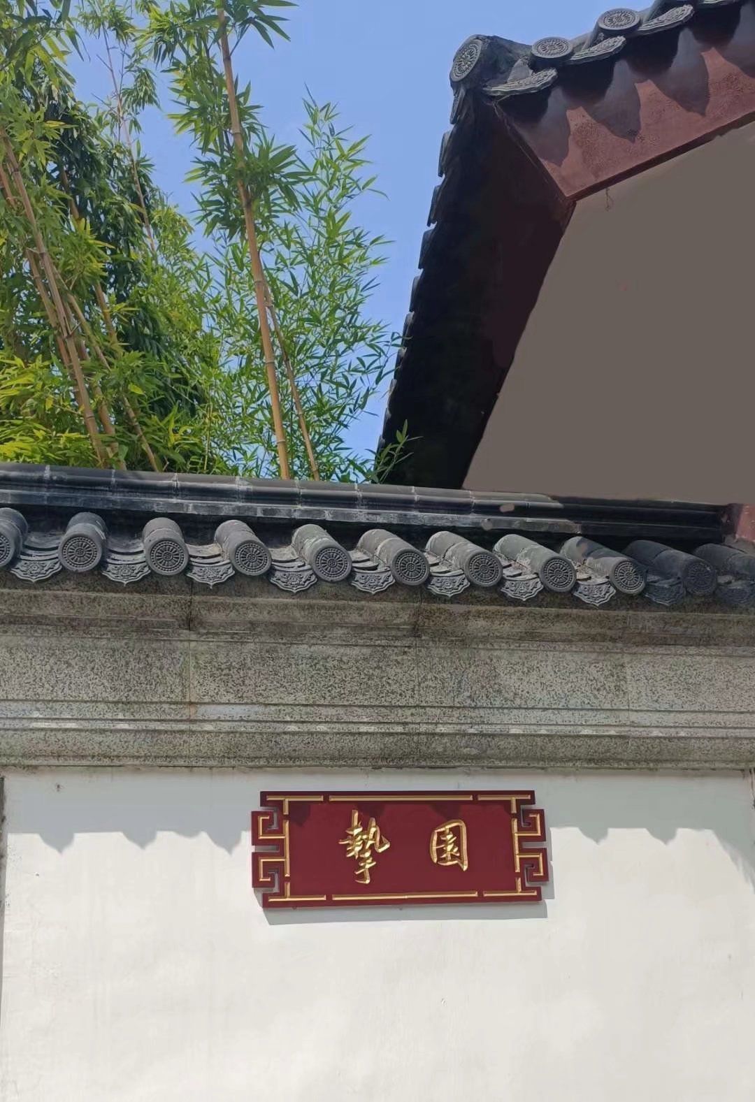 挚湖公园旅行图片 1