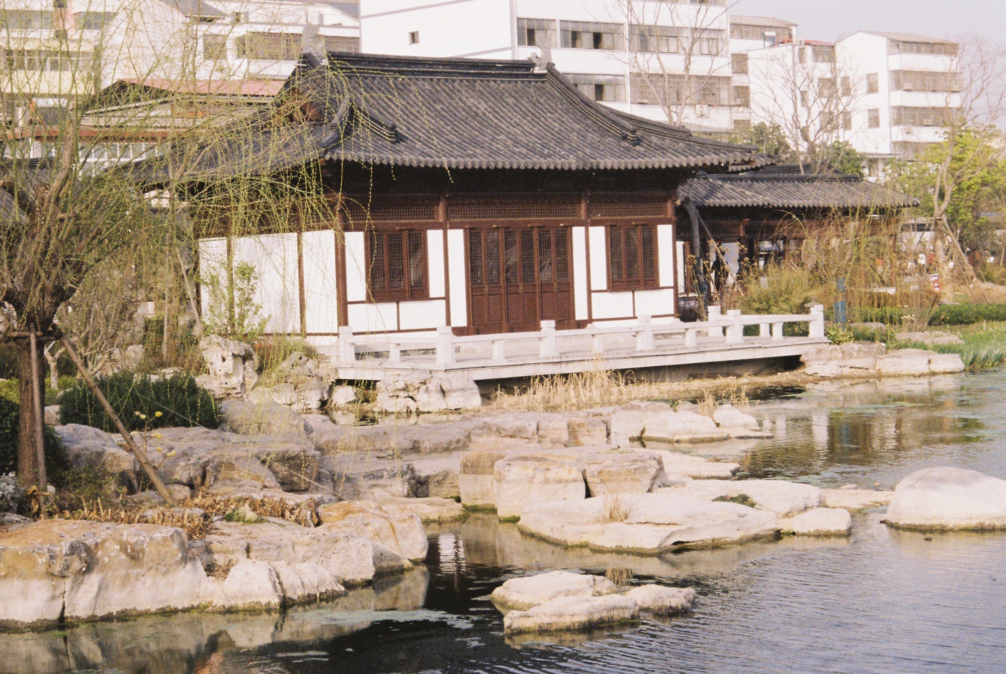 挚湖公园旅行图片 1