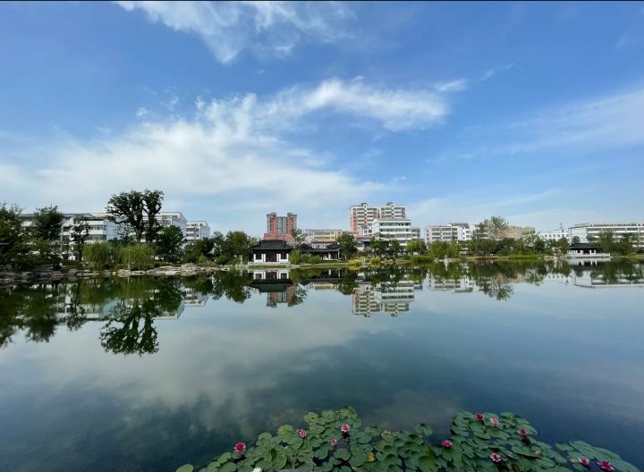挚湖公园旅行图片 2
