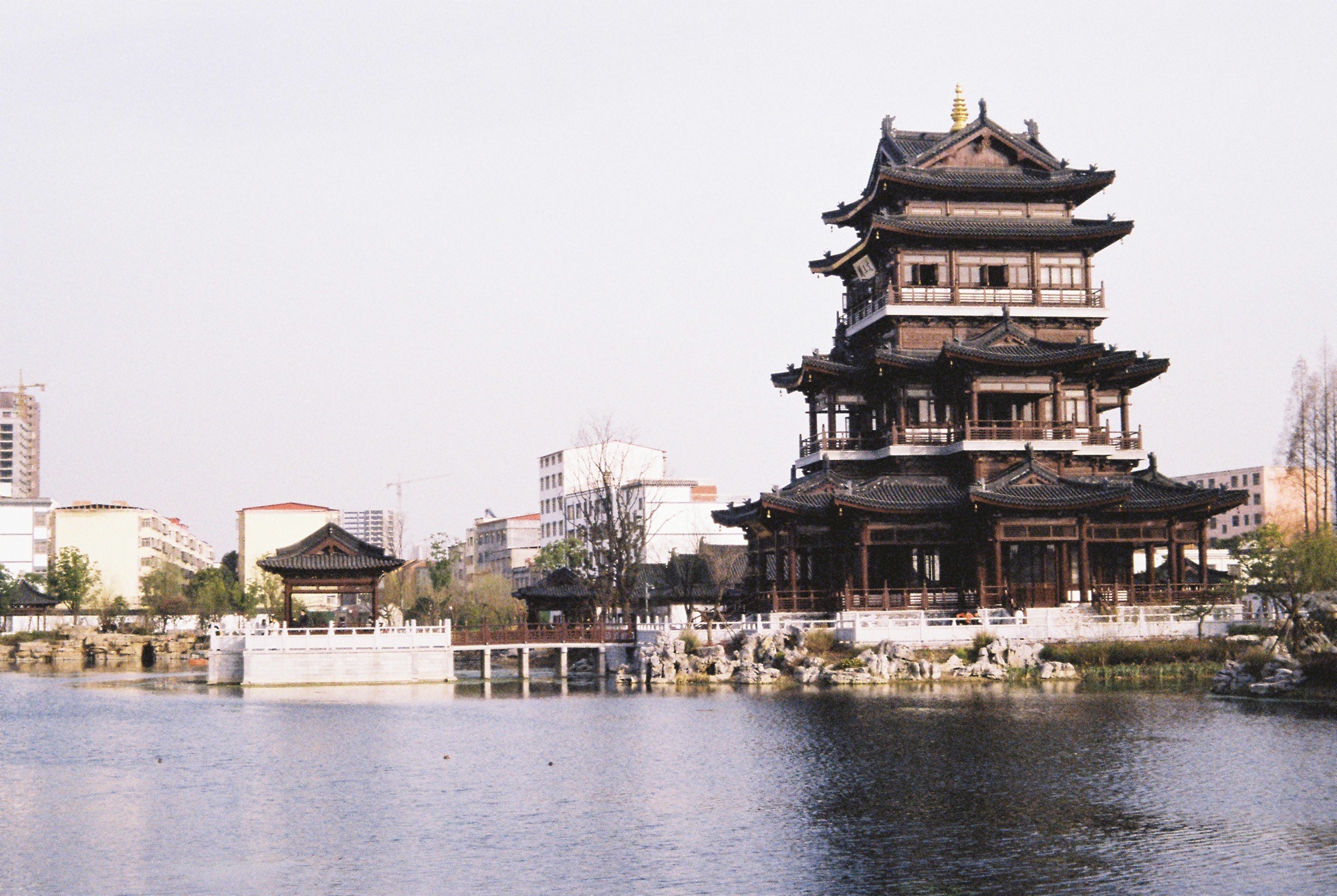 挚湖公园旅行图片 3