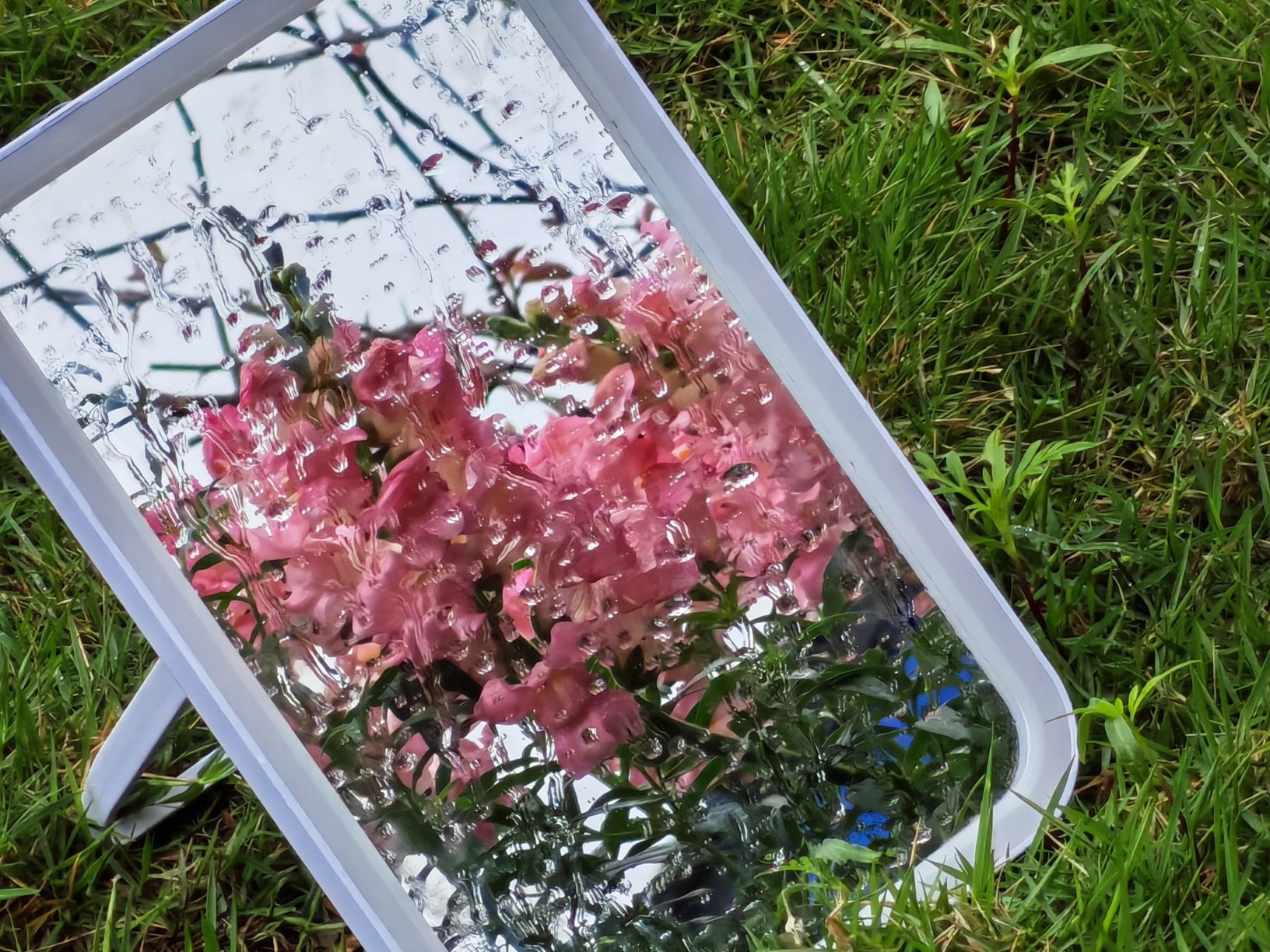 红顶花园旅行图片 1