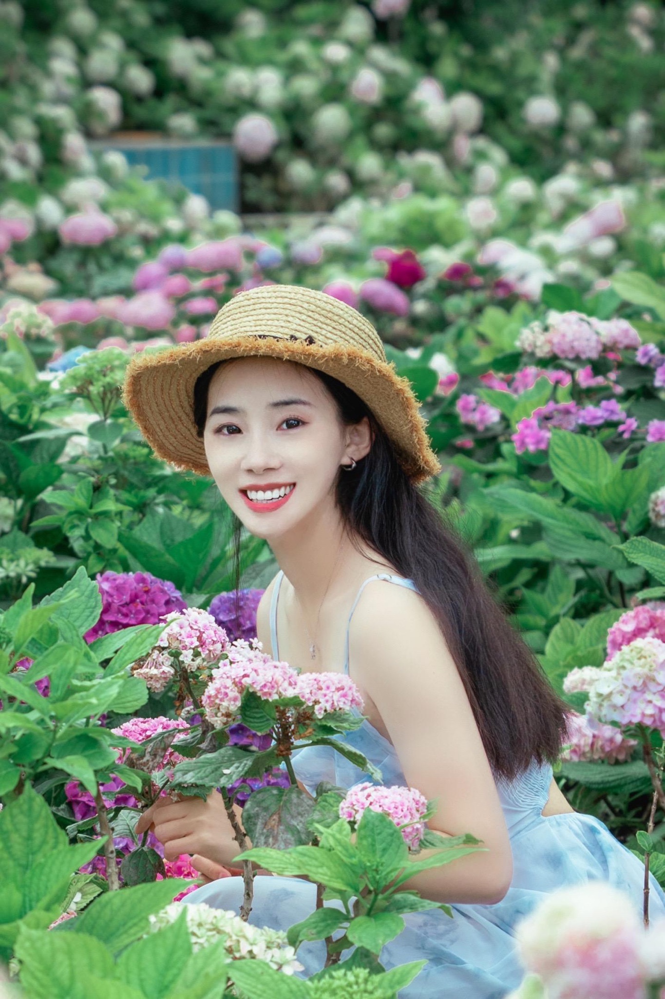 红顶花园旅行图片 1