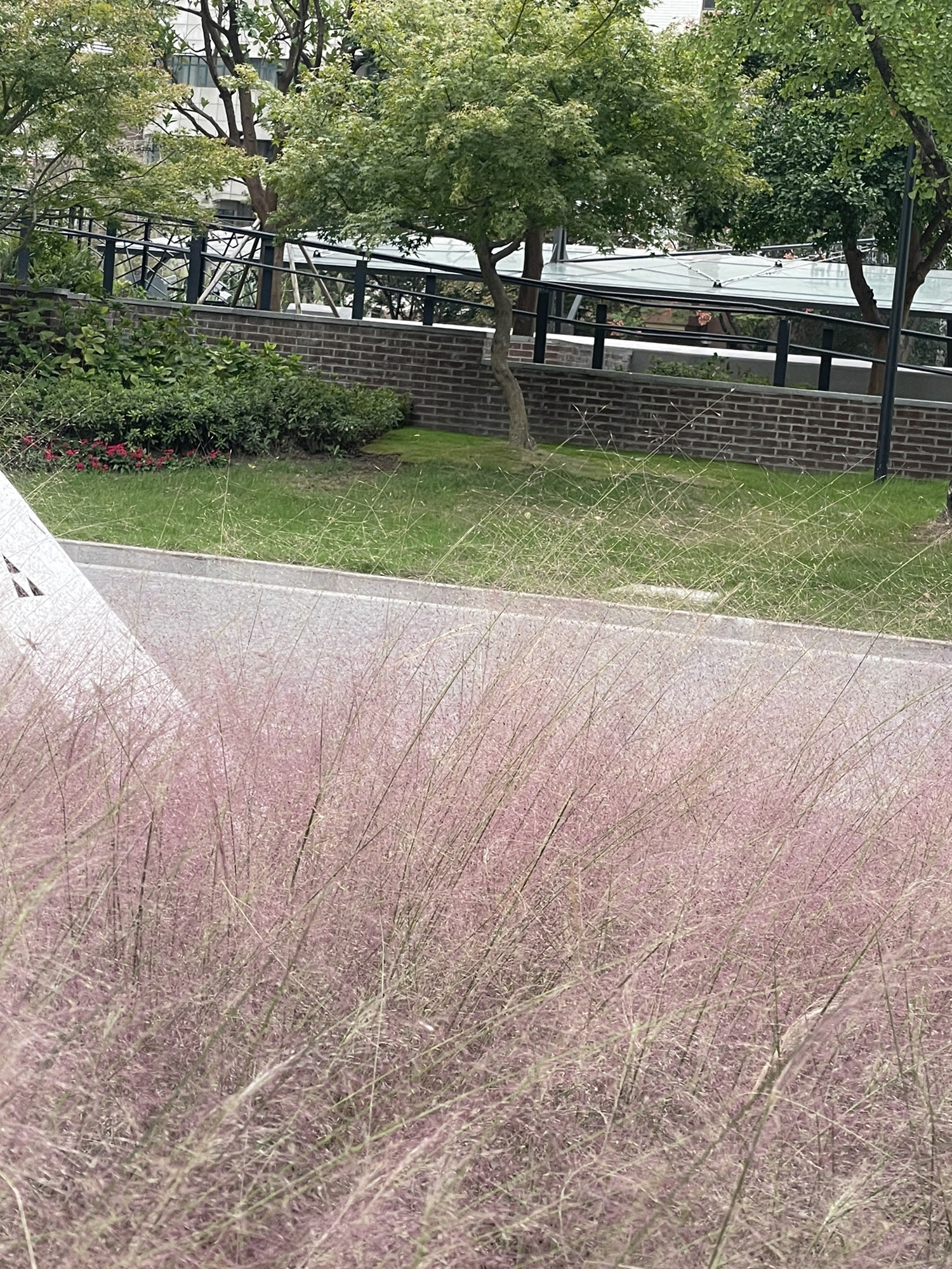 静安区双拥公园旅行图片 2